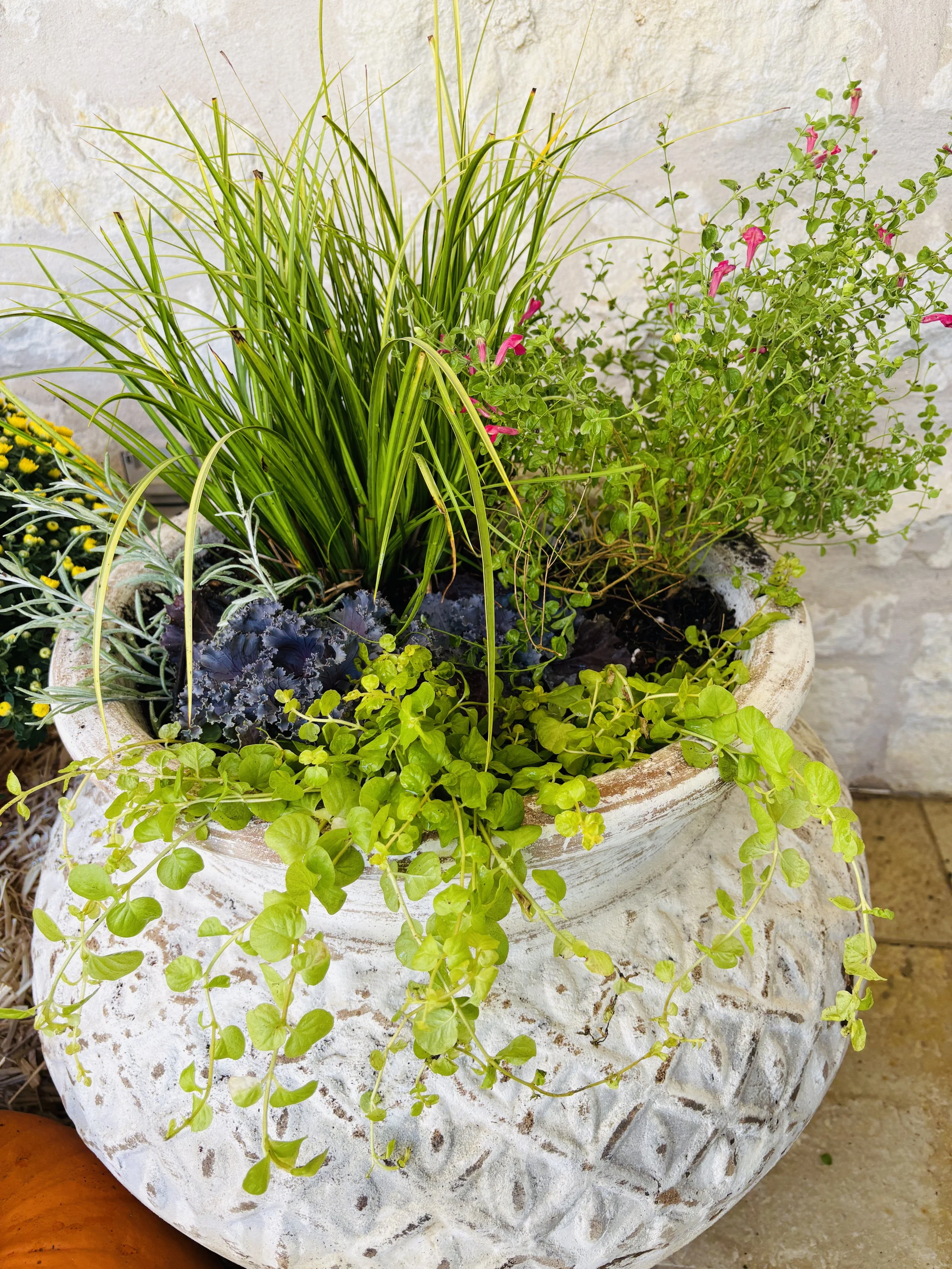 Custom Planter Arrangement