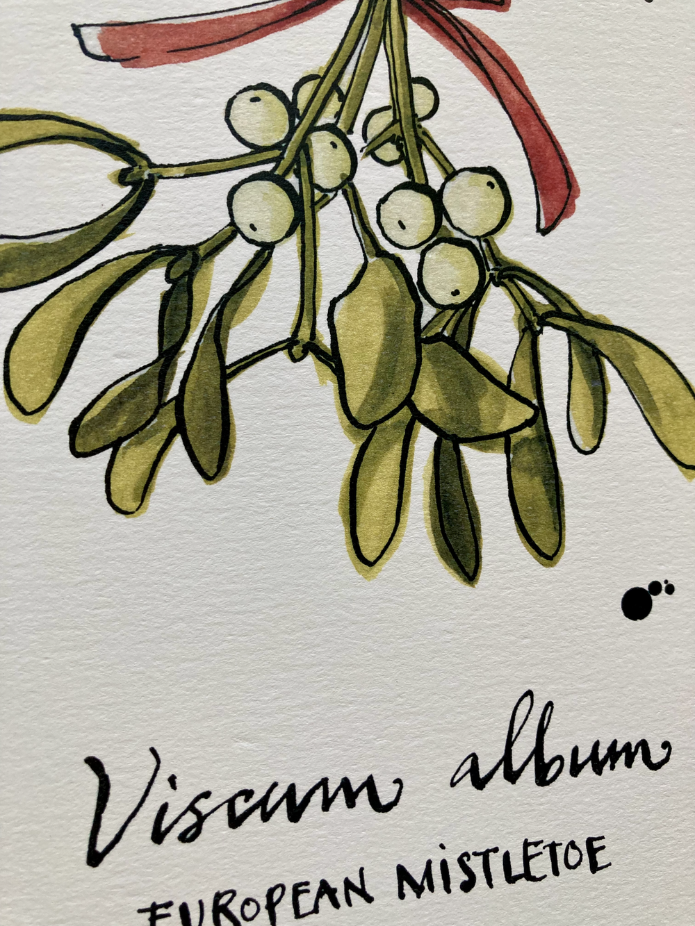 『絵画』 題名~mistletoe~ Mistletoe fine art print — Annie Brulé Illustration