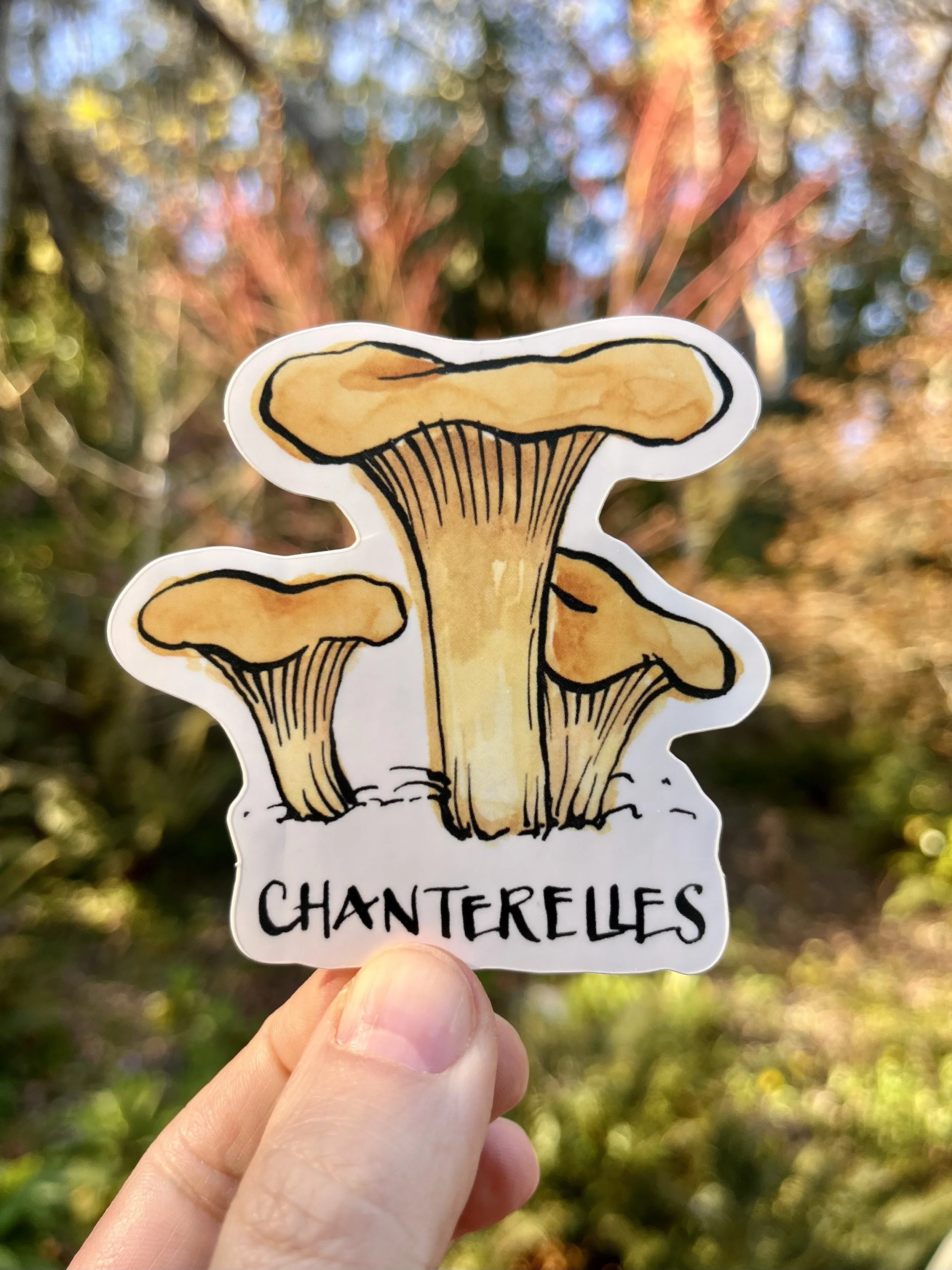 Chanterelle mushroom sticker