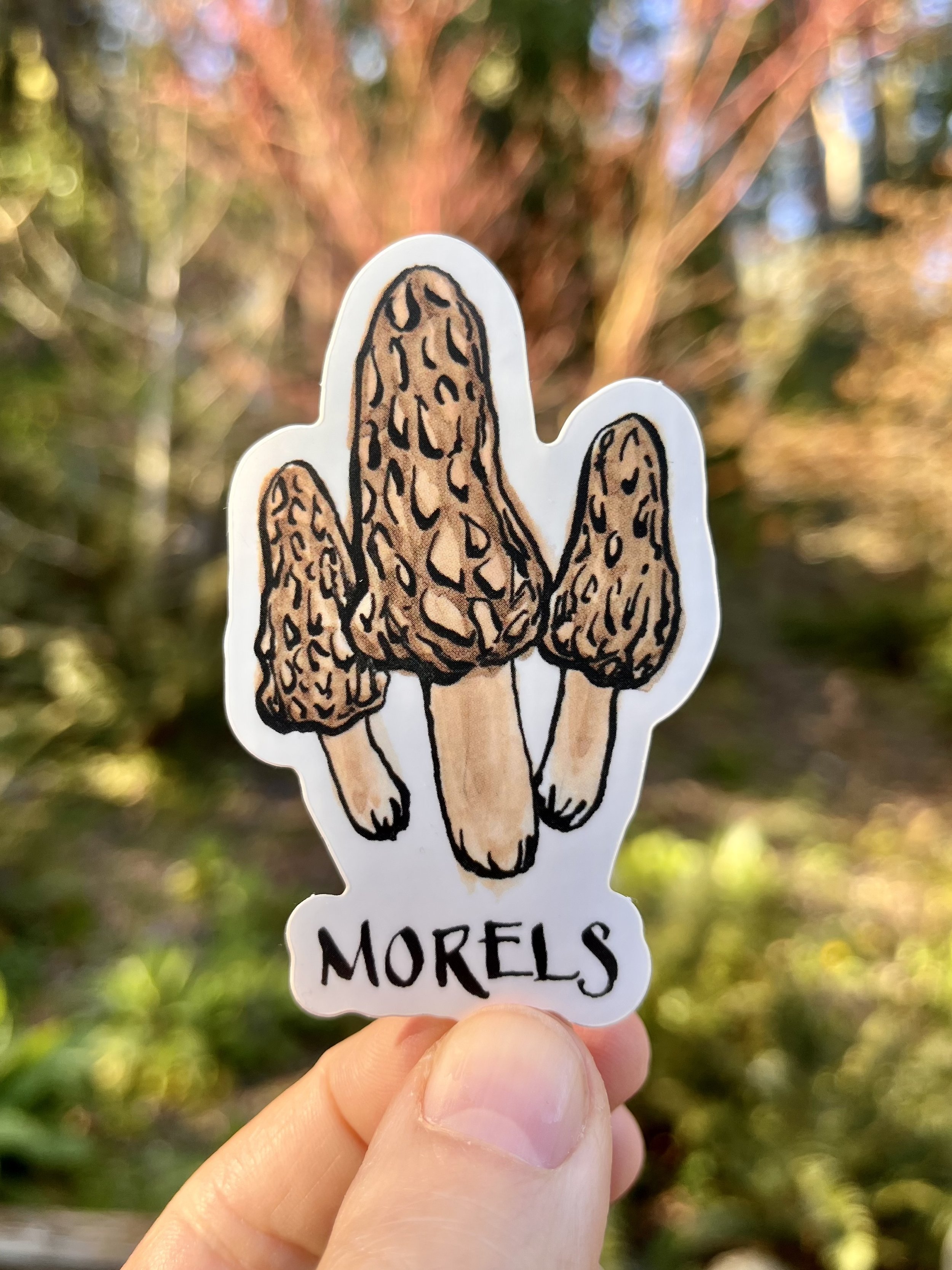 Sticker_morel_3inch_AB.jpg