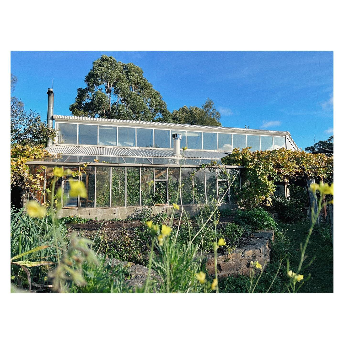 Autumn visit to Melliodora, just 1,5h from Melbourne. It&rsquo;s one of the best examples of working cool-temperate climate permaculture in Australia. The property has been transformed from the blackberry covered wasteland in 1985 into a model of sma