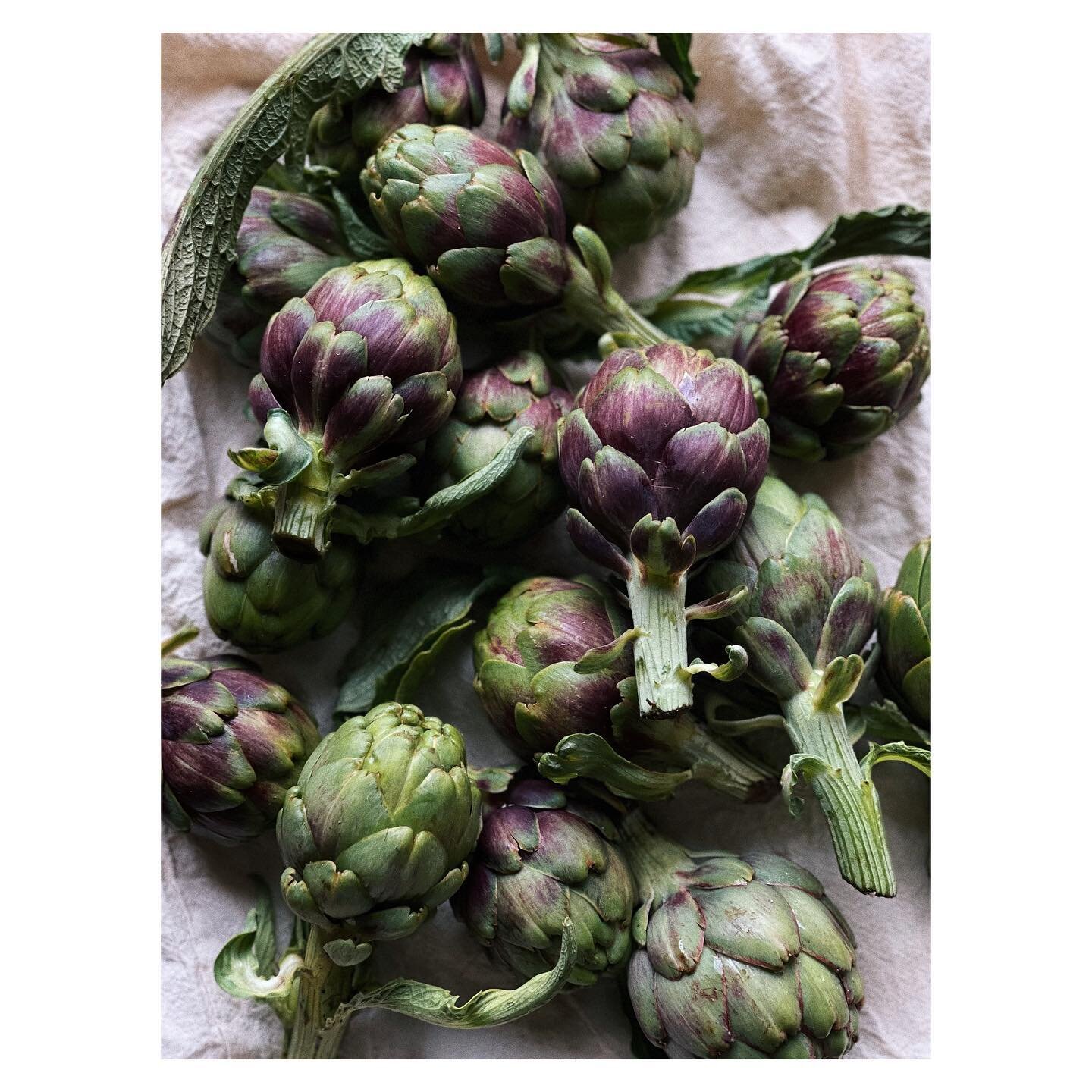 A few years back I was travelling through the mountains of Dalat in Vietnam when I discovered that artichoke tea was a staple of Vietnamese culture. I grew up eating them in every possible ways: raw, boiled, confit, fried, roasted in a open fire&hell