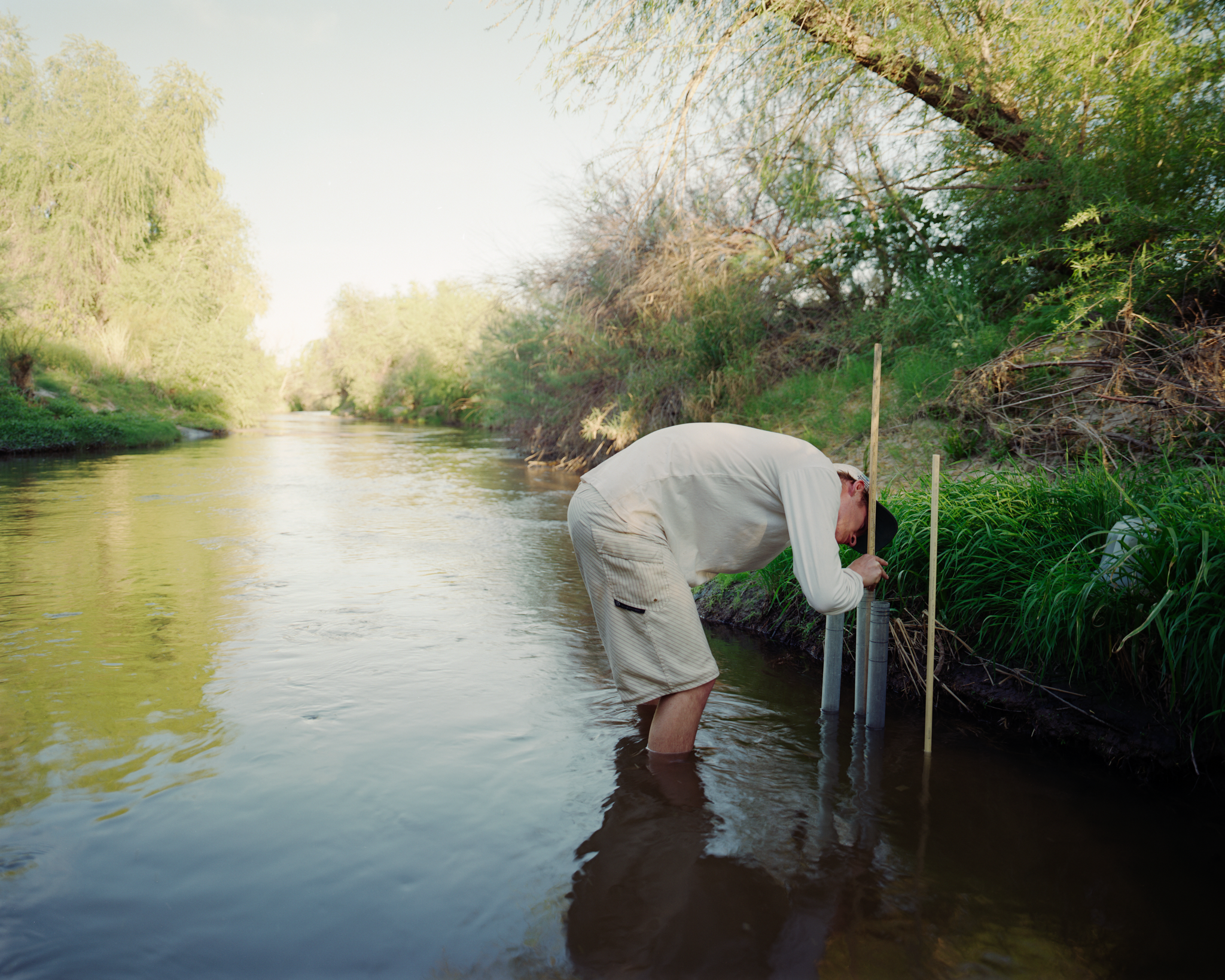A biologist conducting research along the Santa Cruz River, AZ