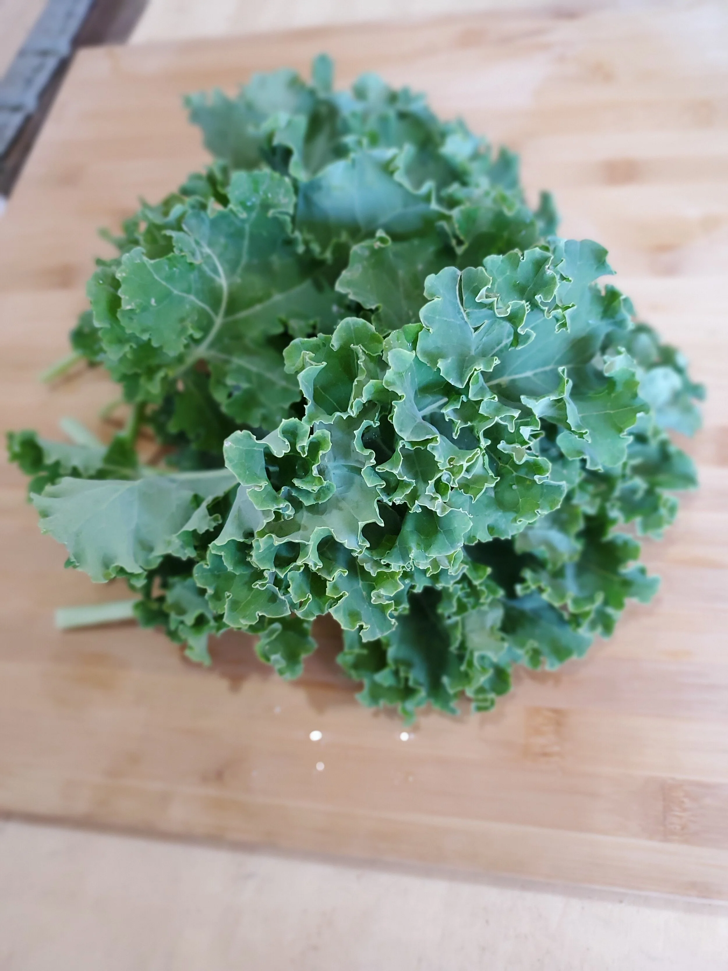 Westlands Kale — Golden Creek Horticulture