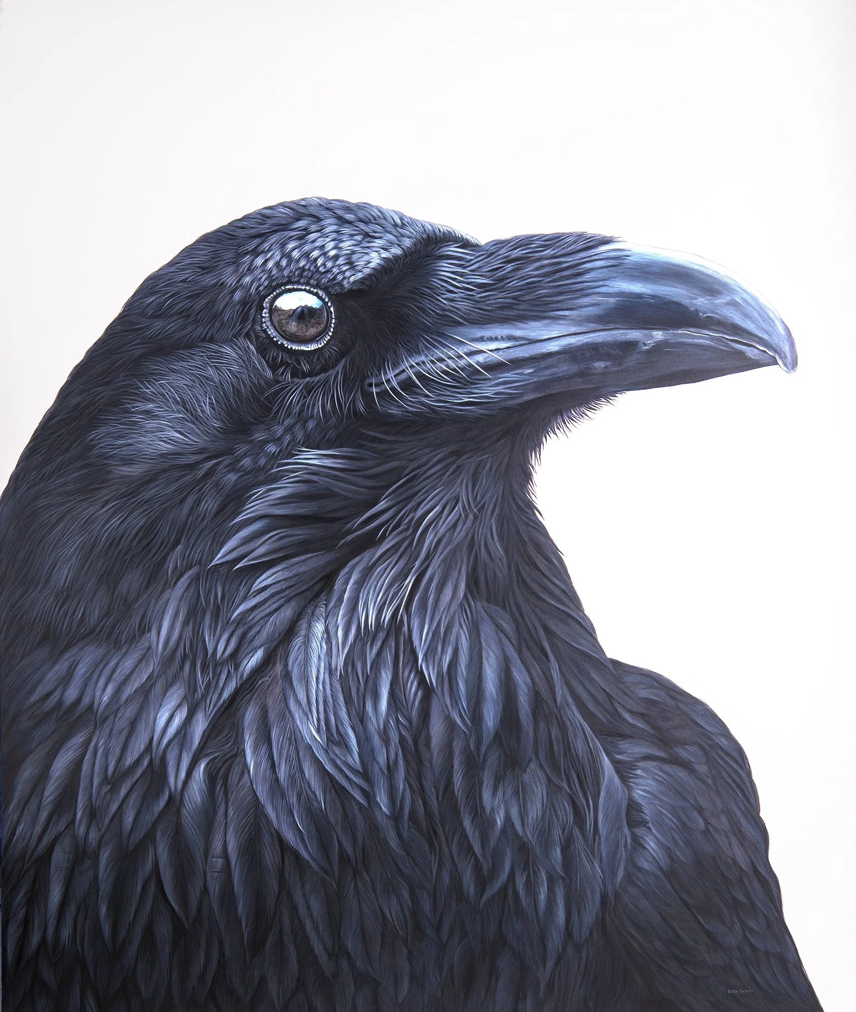 The Mighty Raven