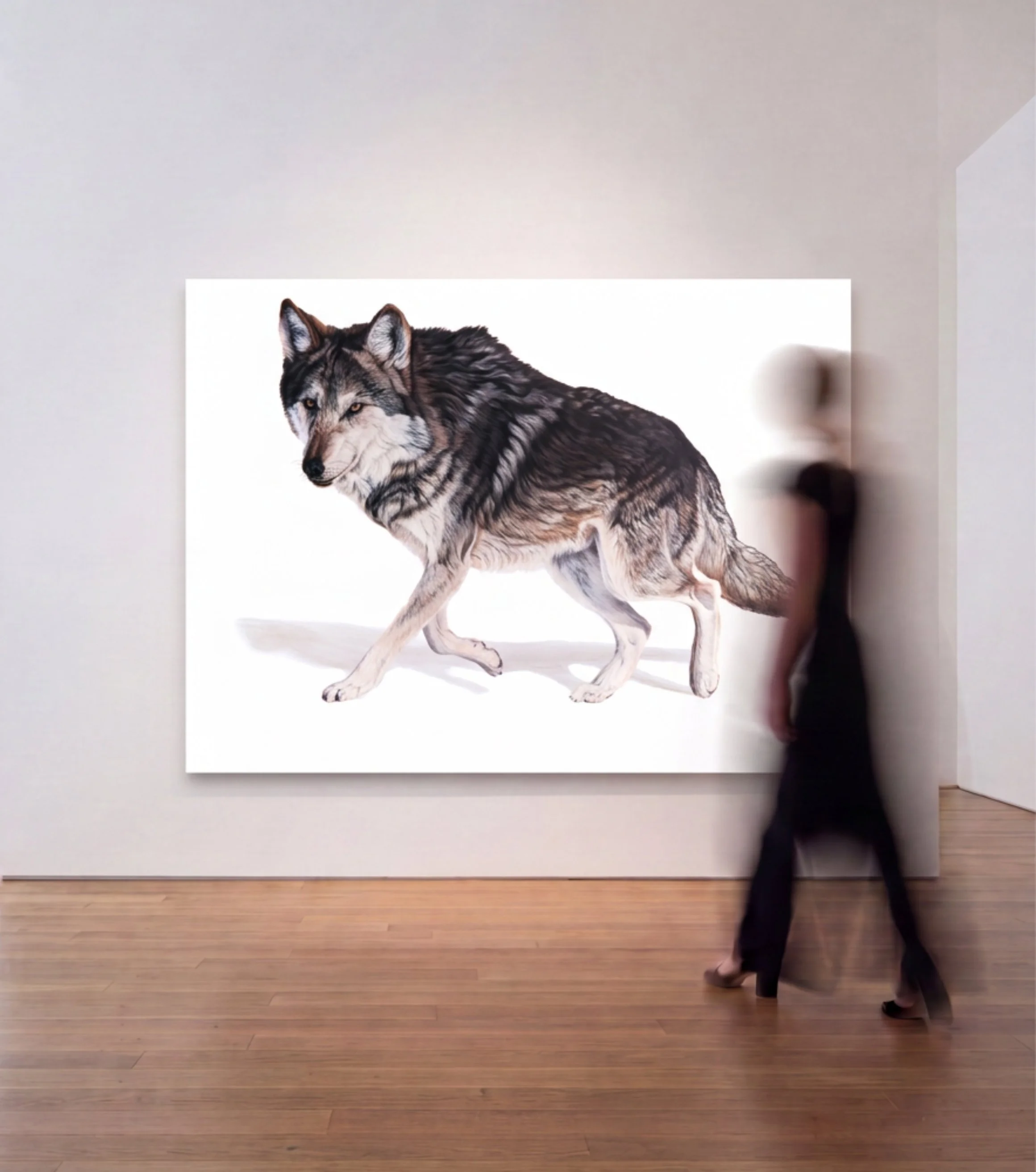 Through the eyes of a Mexican Grey Wolf