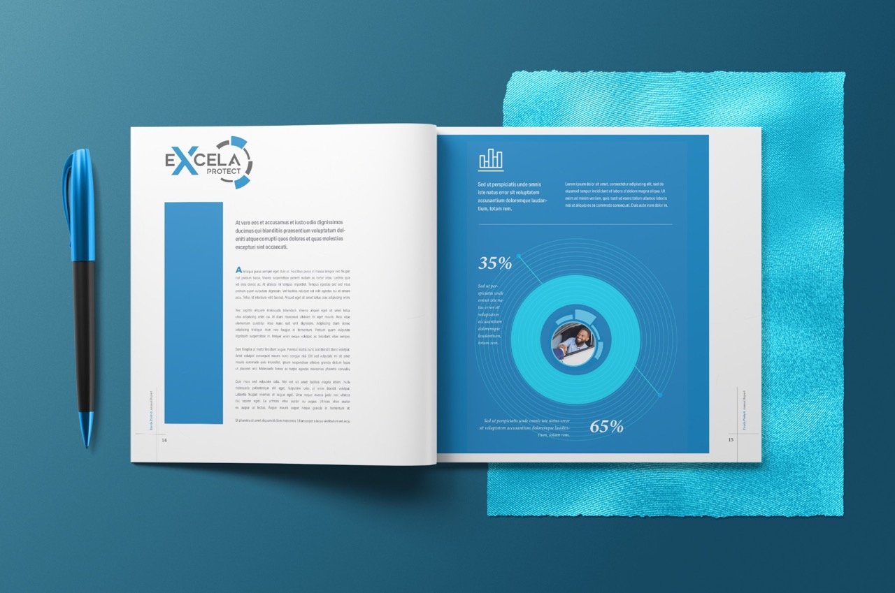 Portfolio-Refinement_Excela_Report_V1.jpeg