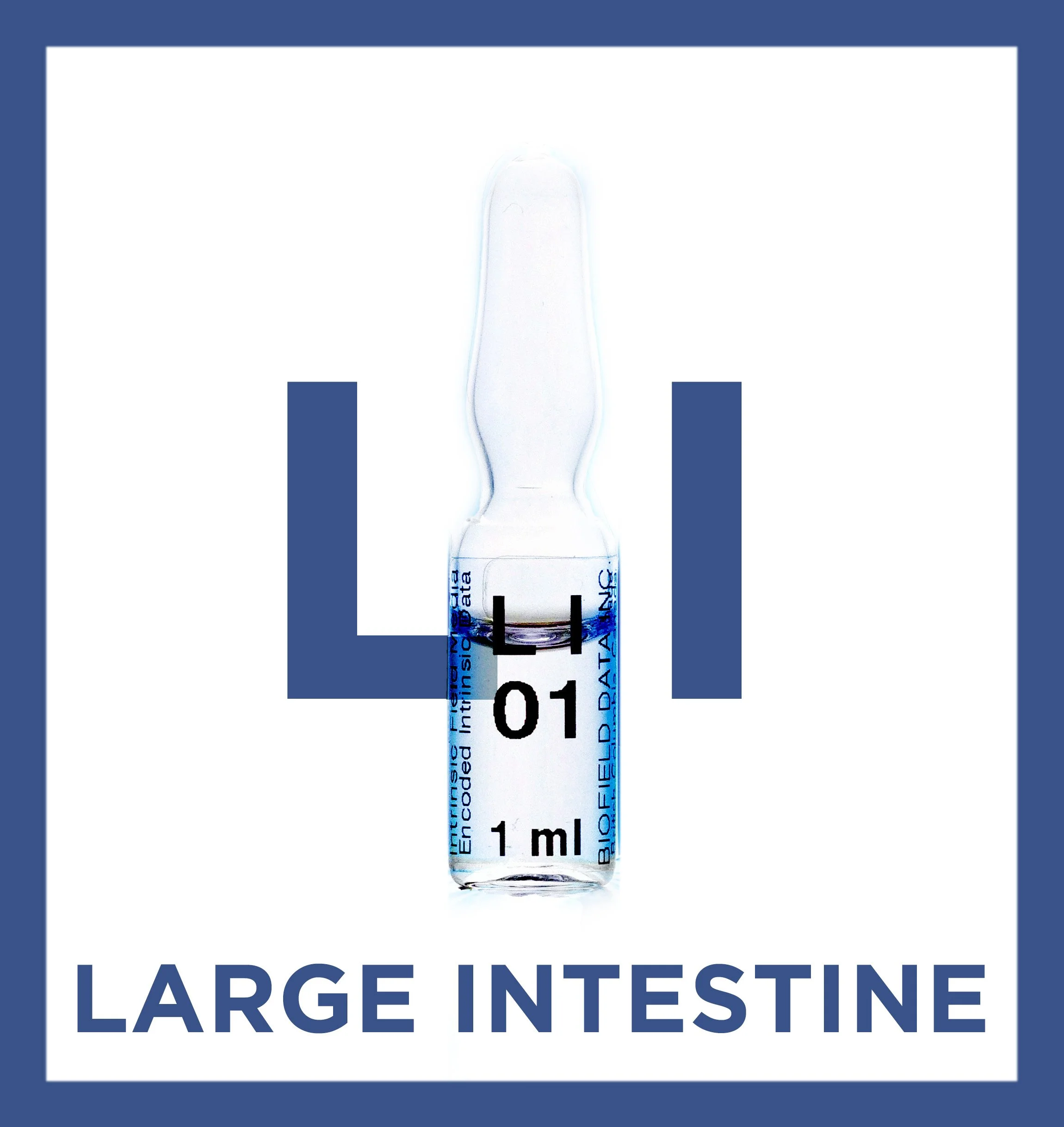 Large Intestine Meridian Protocol