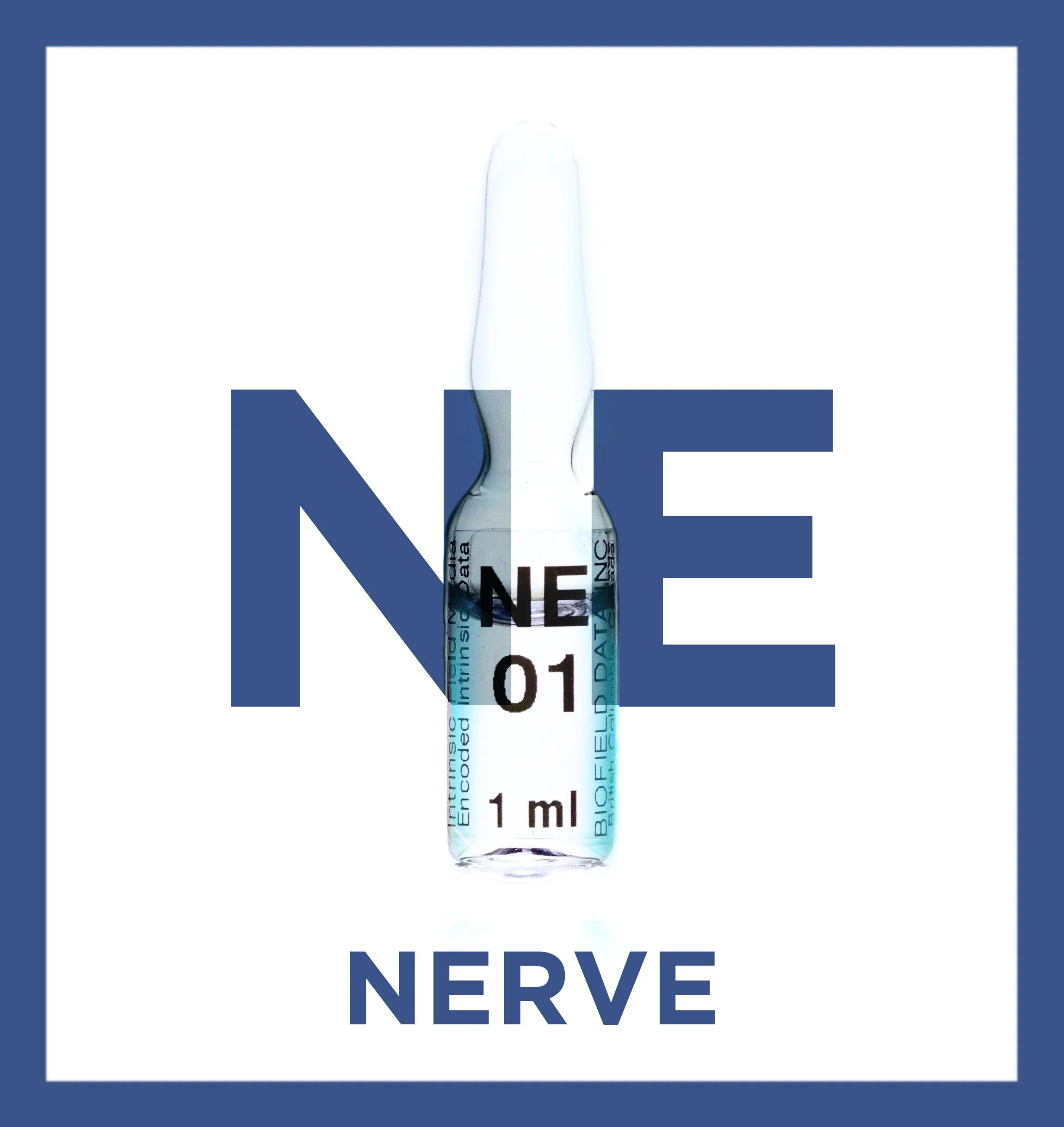 Nerve Meridian Protocol (Voll)