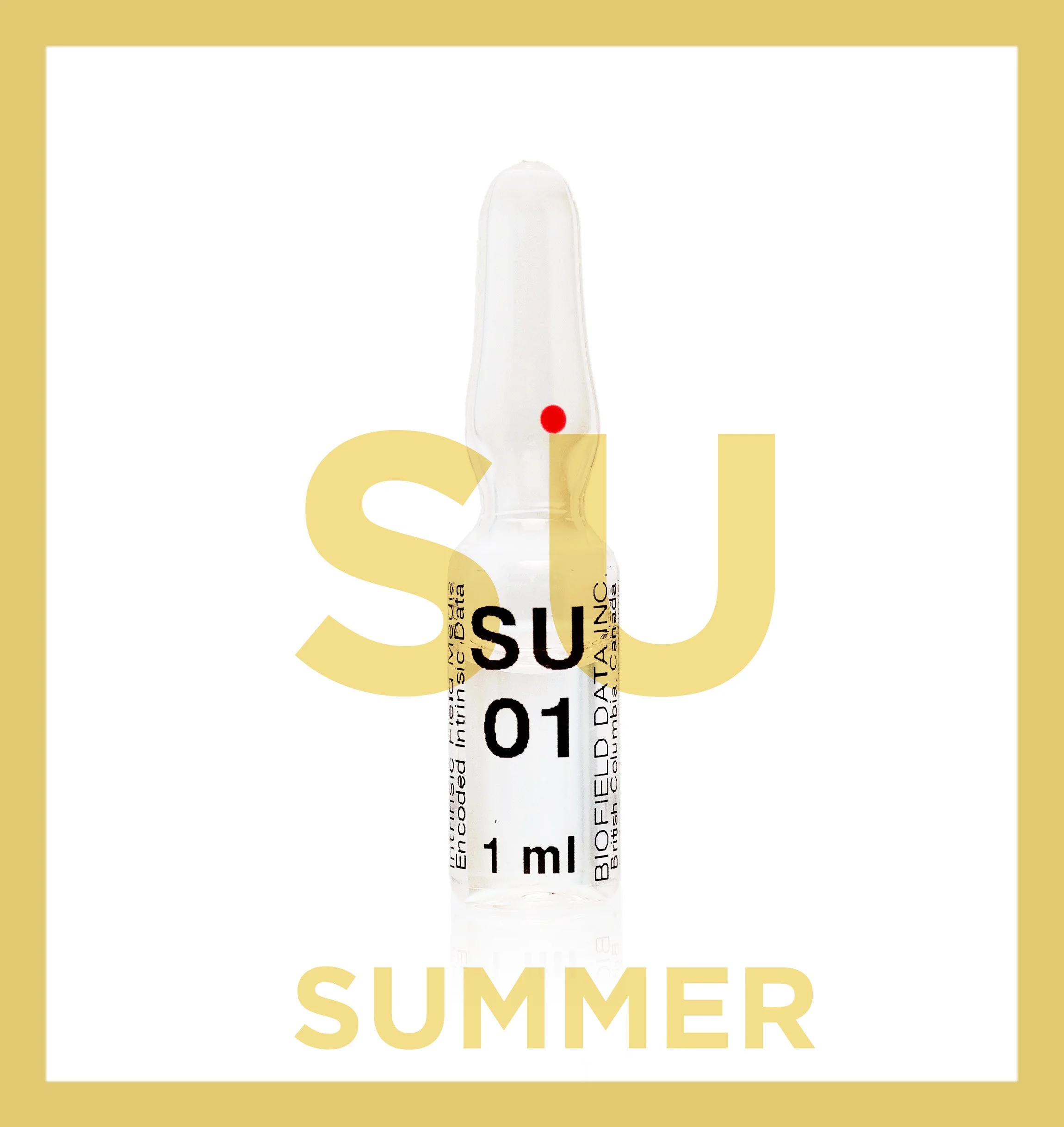 SEASONAL SUPPORT PROTOCOL - SUMMER 2026