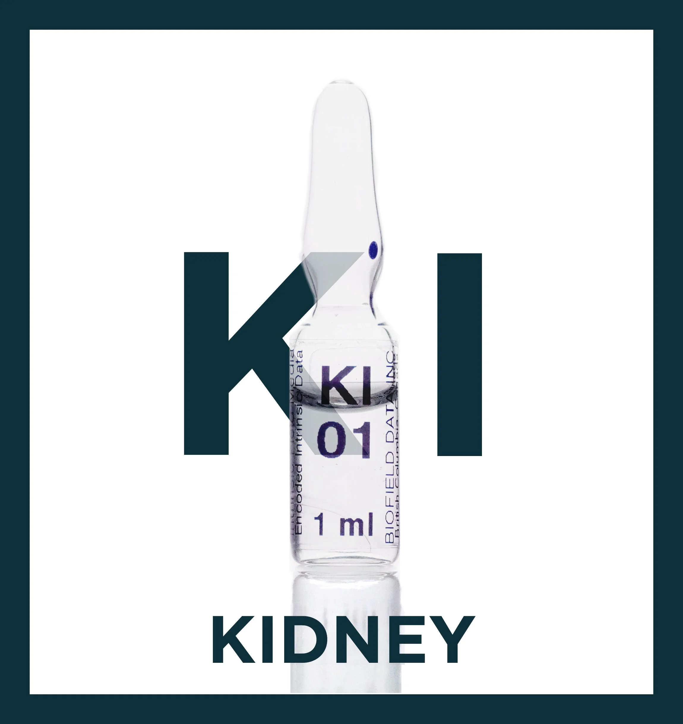 Kidney Meridian Protocol