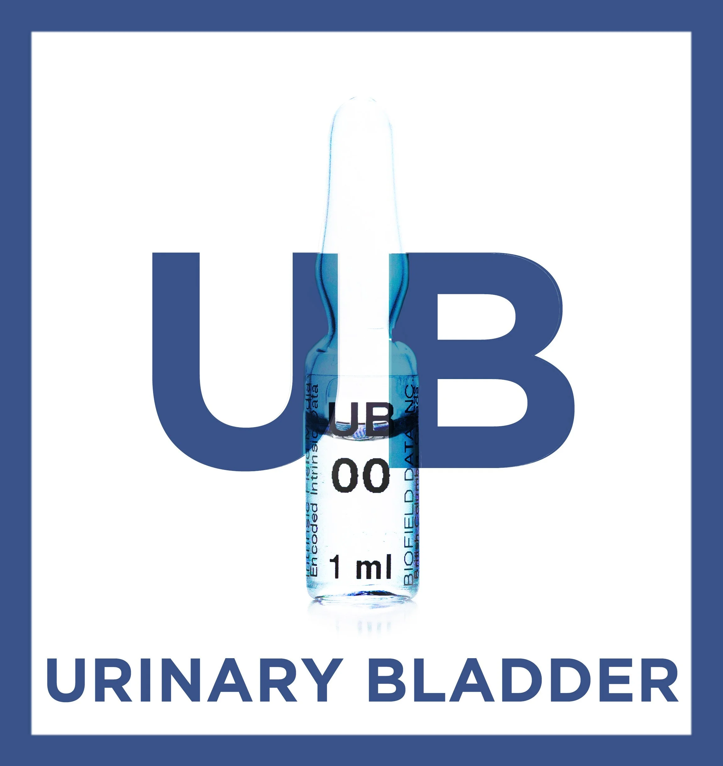 Urinary Bladder Meridian Protocol
