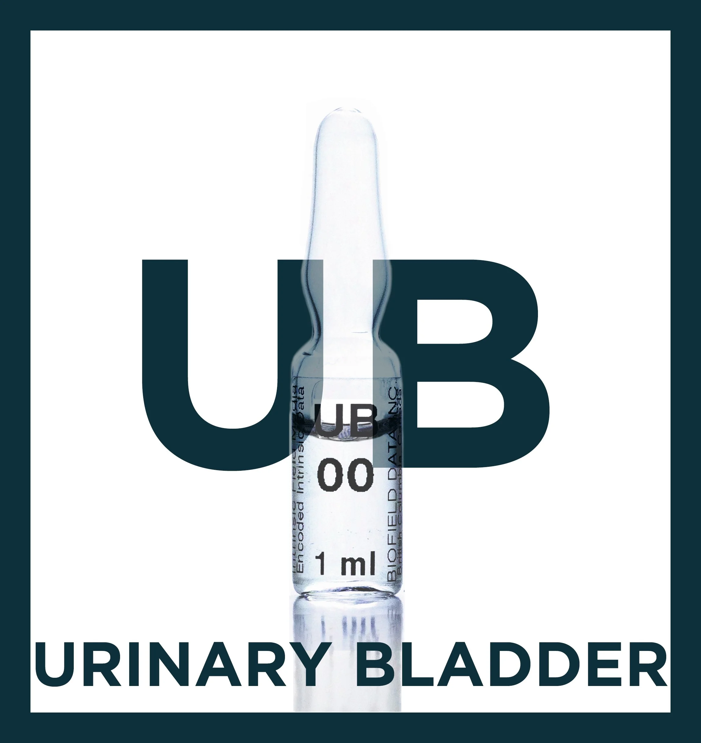 Urinary Bladder Meridian Protocol