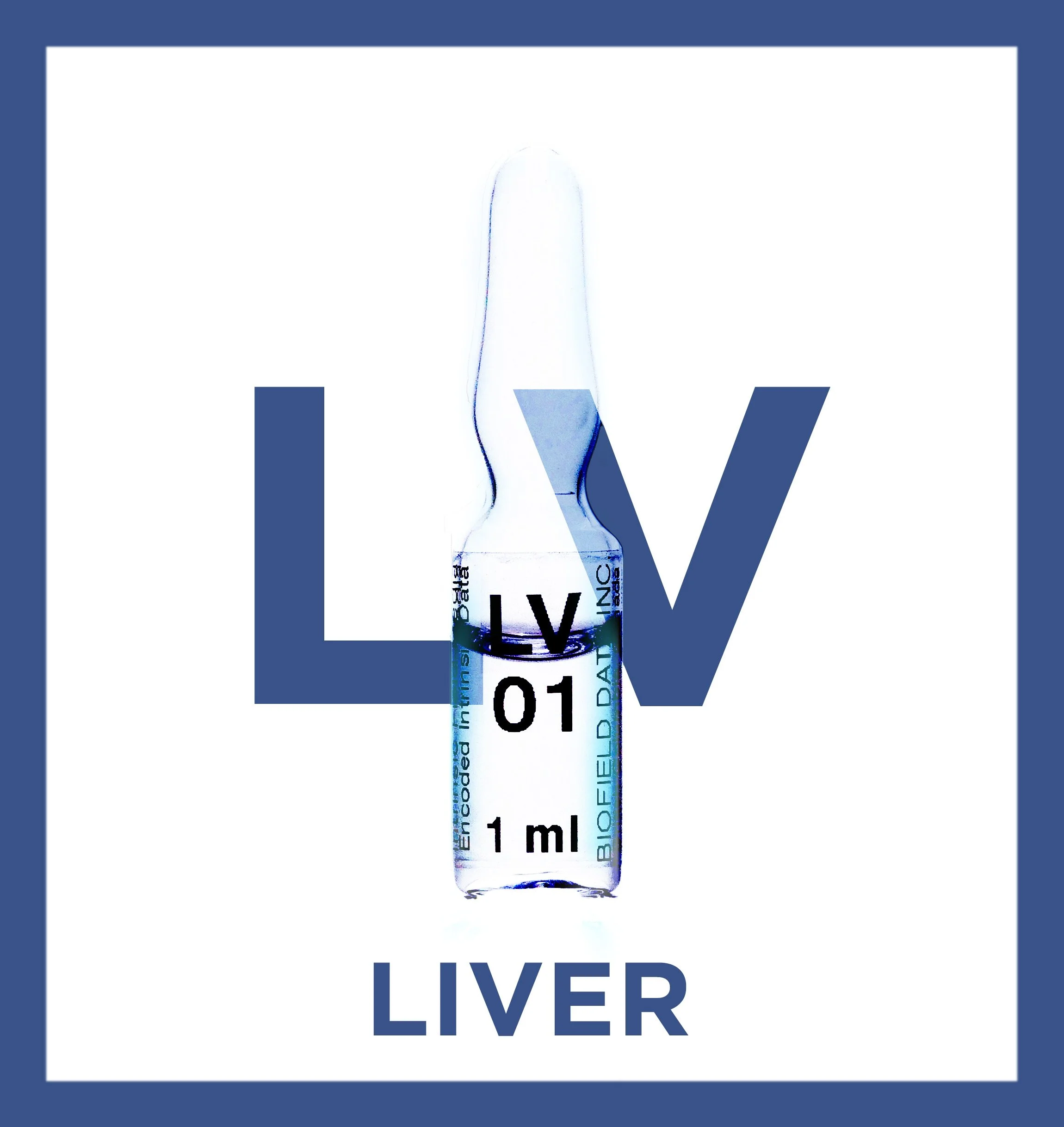 Liver Meridian Protocol