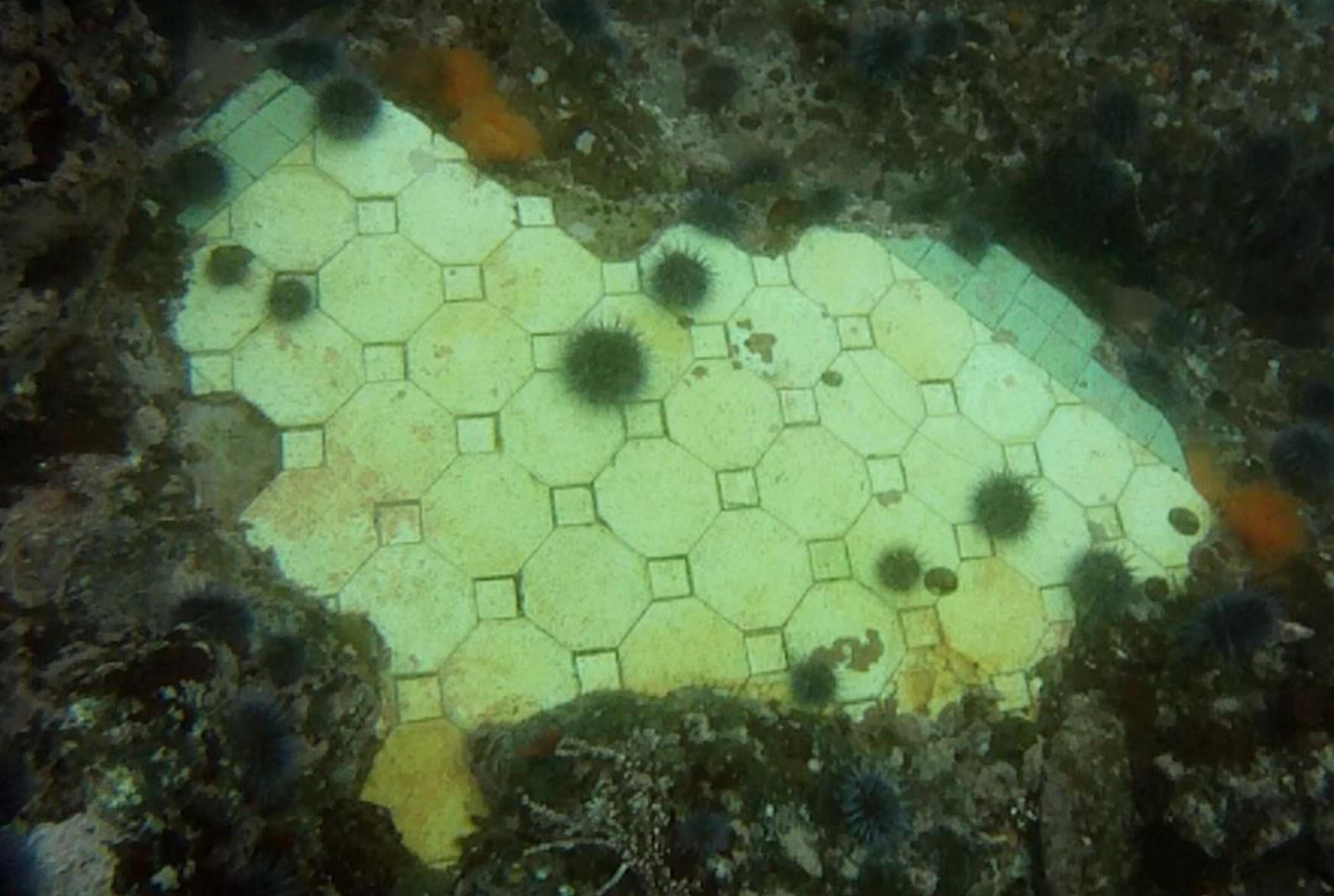 Section of tile from Norlina