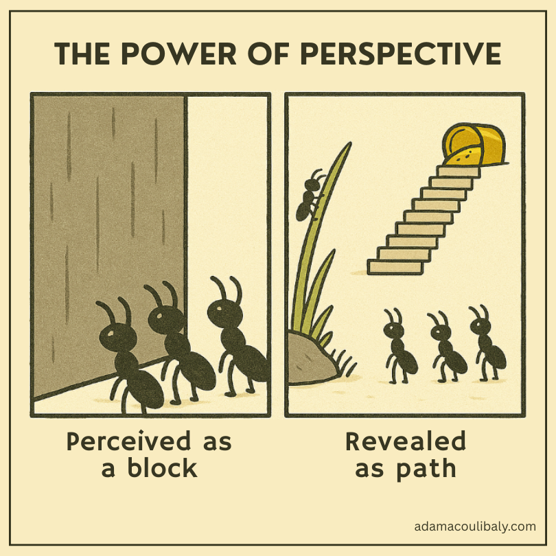 Le pouvoir de la perspective