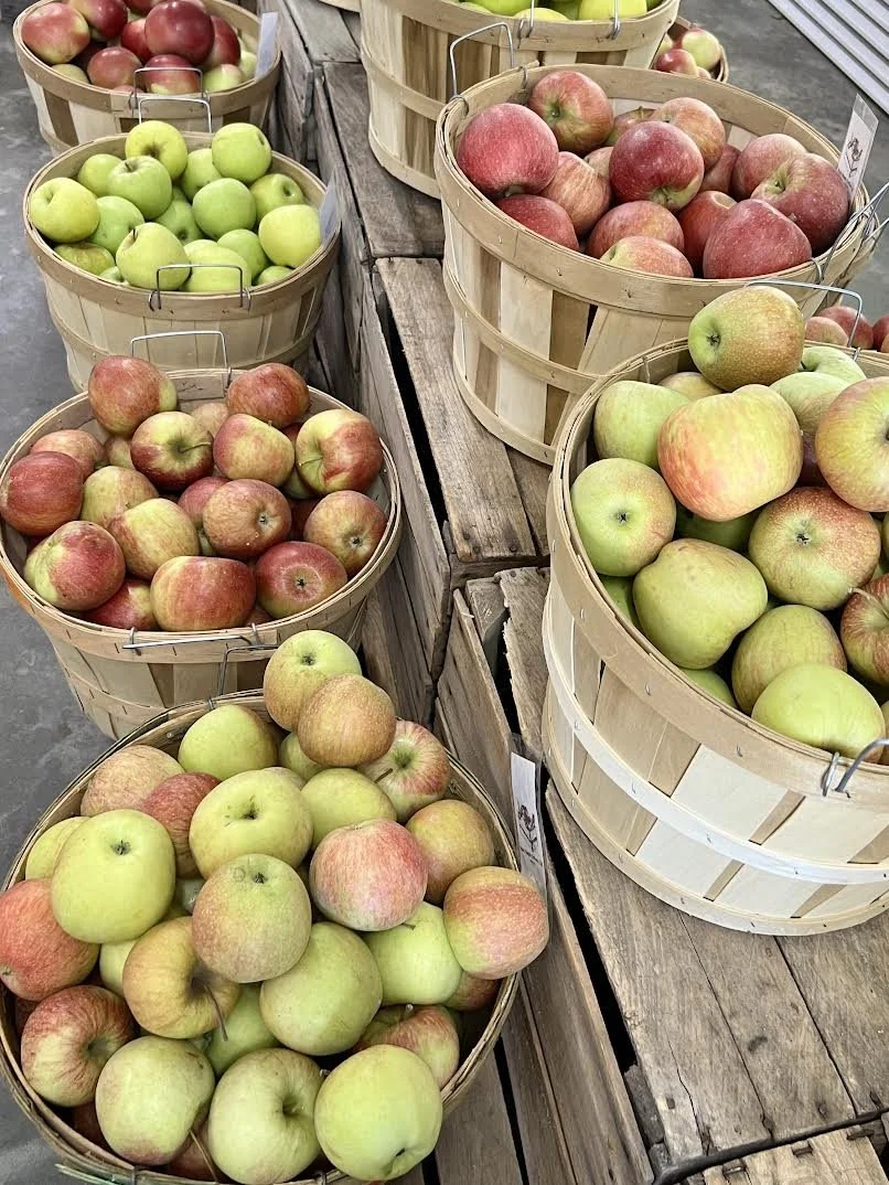 5 Dietary Habits to Stay Healthy