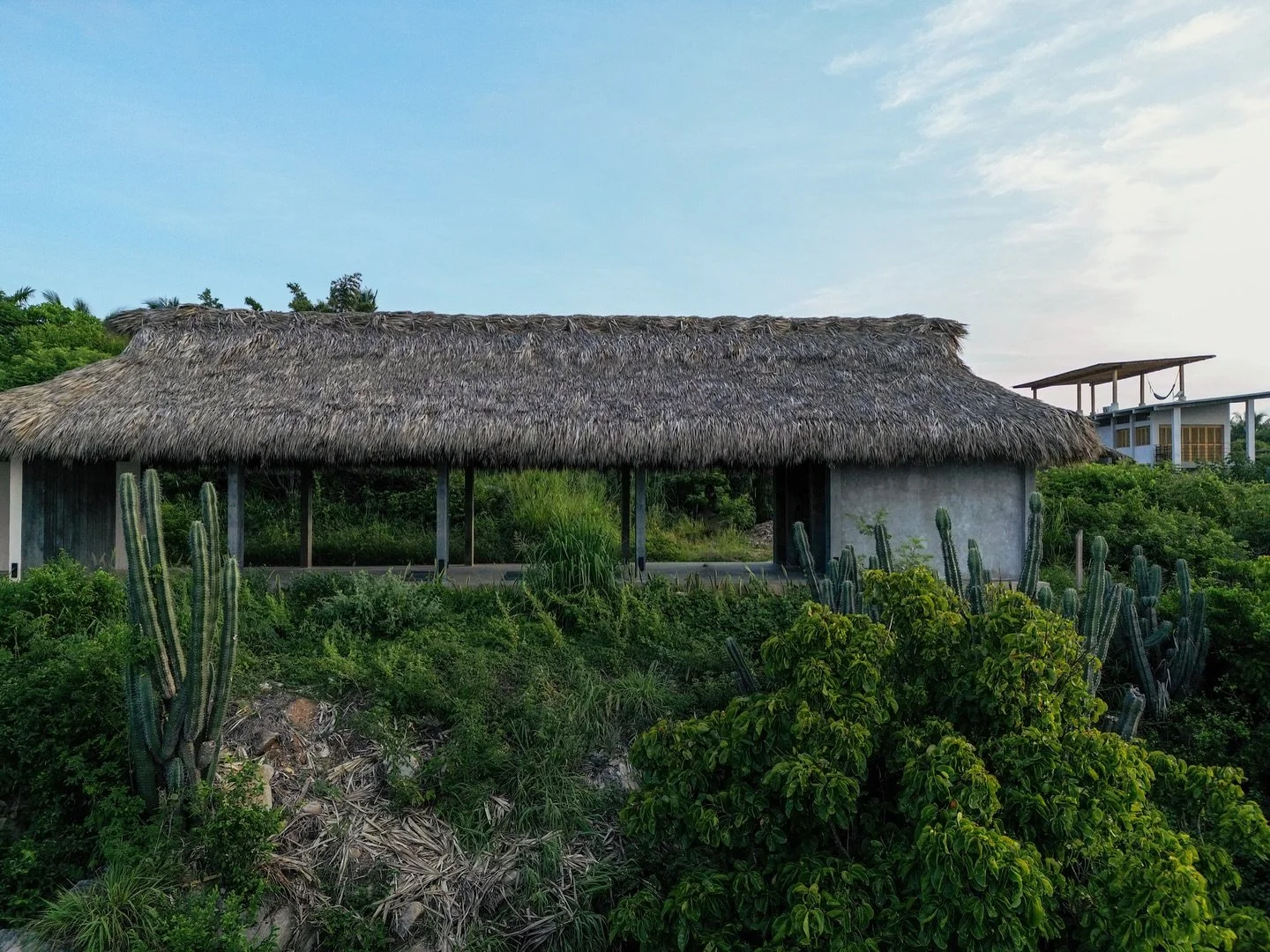 surrounded by abundance 💚