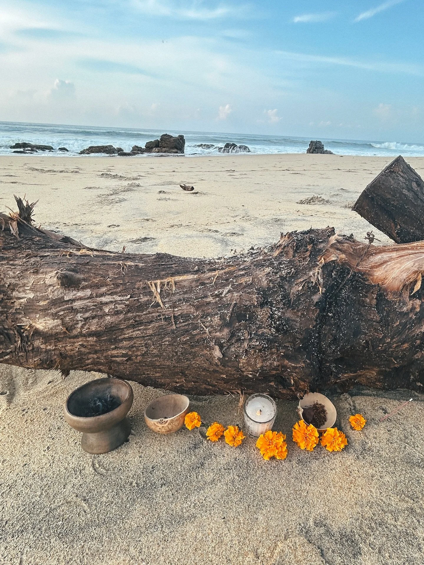 Moments from D&iacute;a de los Muertos 🌼 A time to honor those who came before us. This year we honored the ancestors with an ofrenda at the beach, in the sala and a dinner with our neighbors sharing stories of our ancestors and the beloved who have