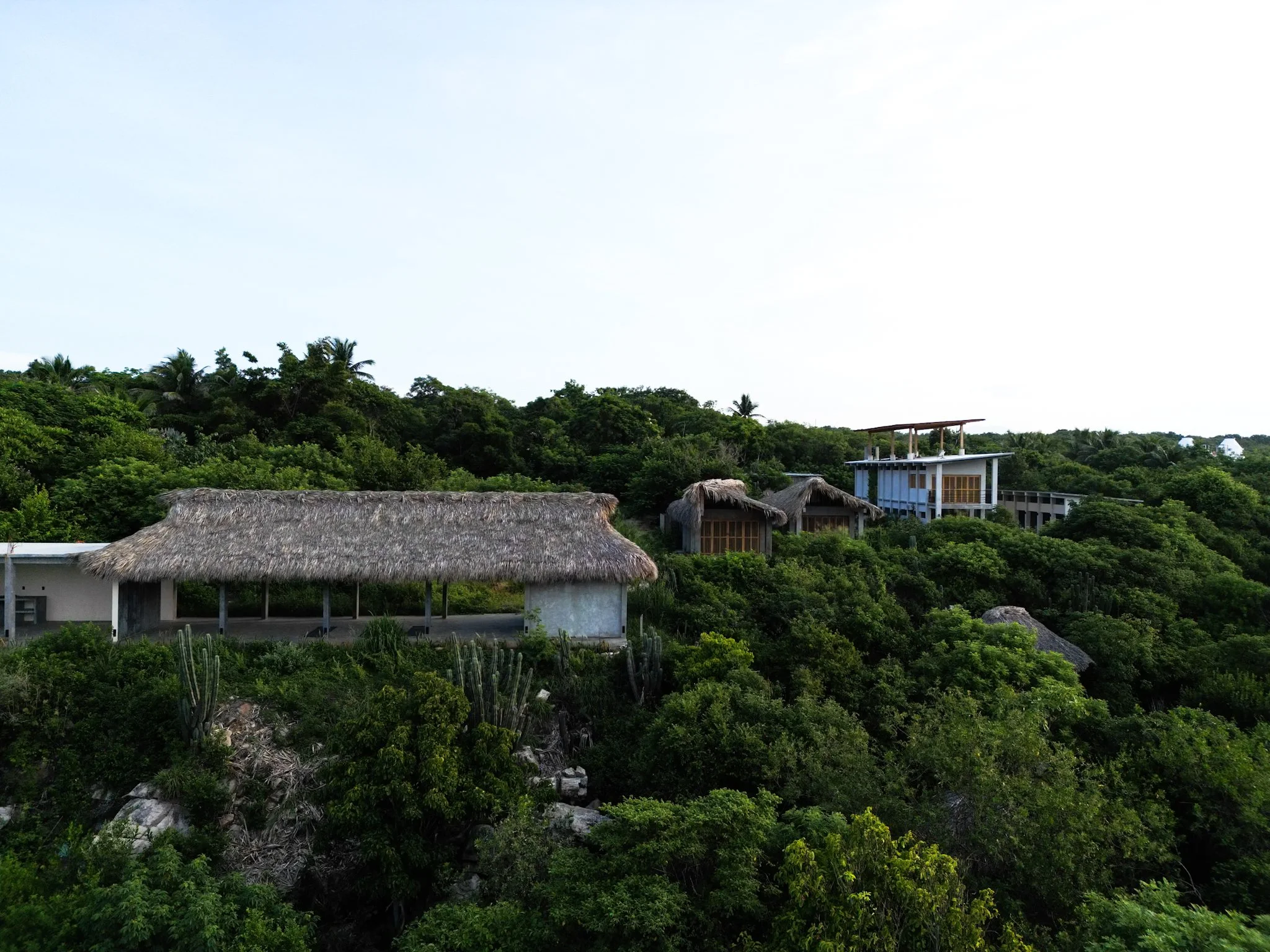 dji_fly_20250819_071000_308_1755717549204_photo.JPG