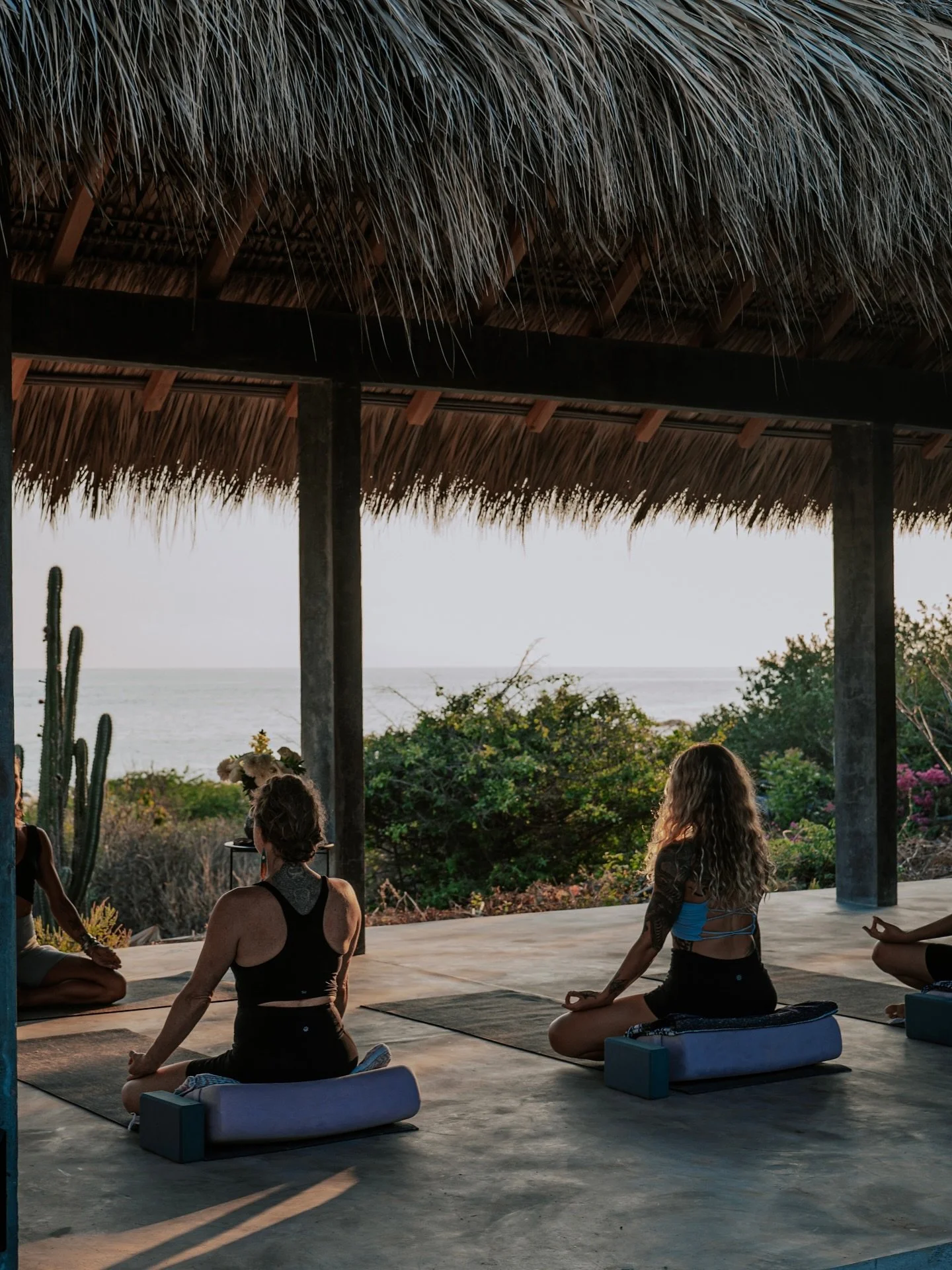 The heart of Santuario Shala 

💚

El coraz&oacute;n de Santuario Shala 

#yoga #yogapuertoescondido #mexico #oaxaca #yogaretreat