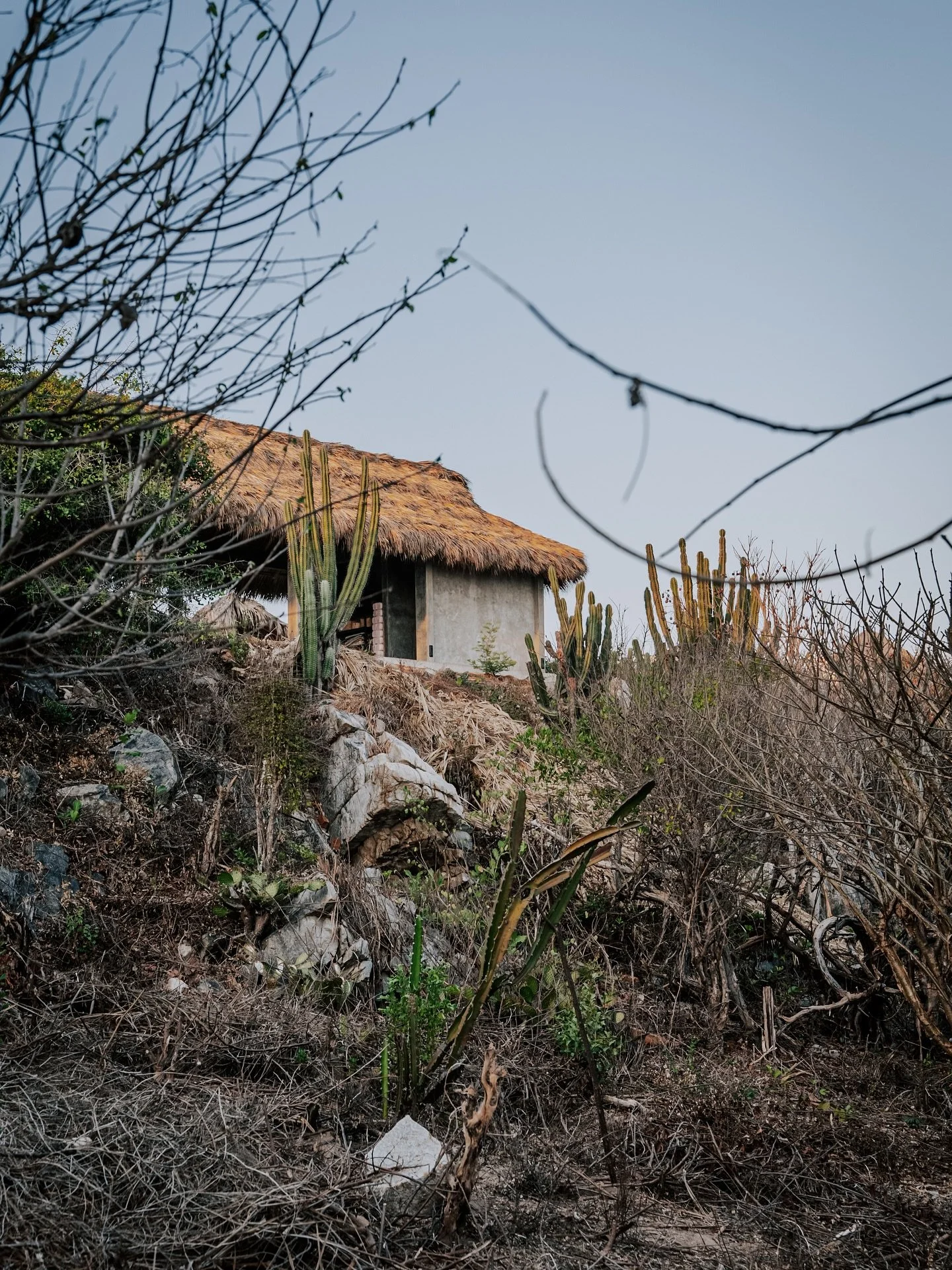 continuously connected to the earth element @santuario.shala