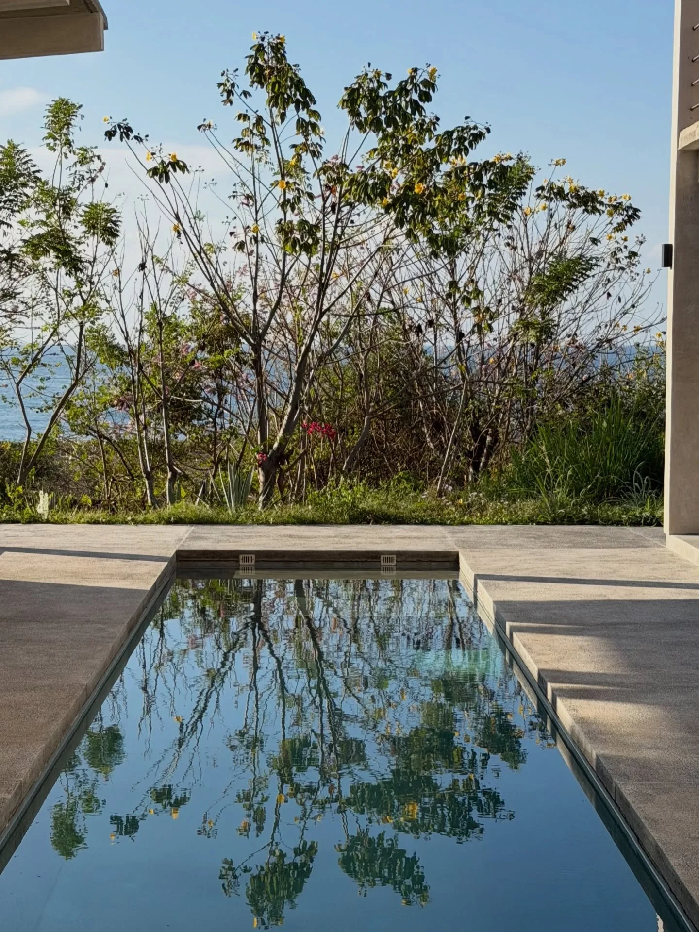 the first day of spring
when day and night exist in sacred balance

a gentle return to balance

longer days, softer light, everything beginning to bloom again

a reminder that we&rsquo;re allowed to start fresh too
to clear out what feels heavy
to co