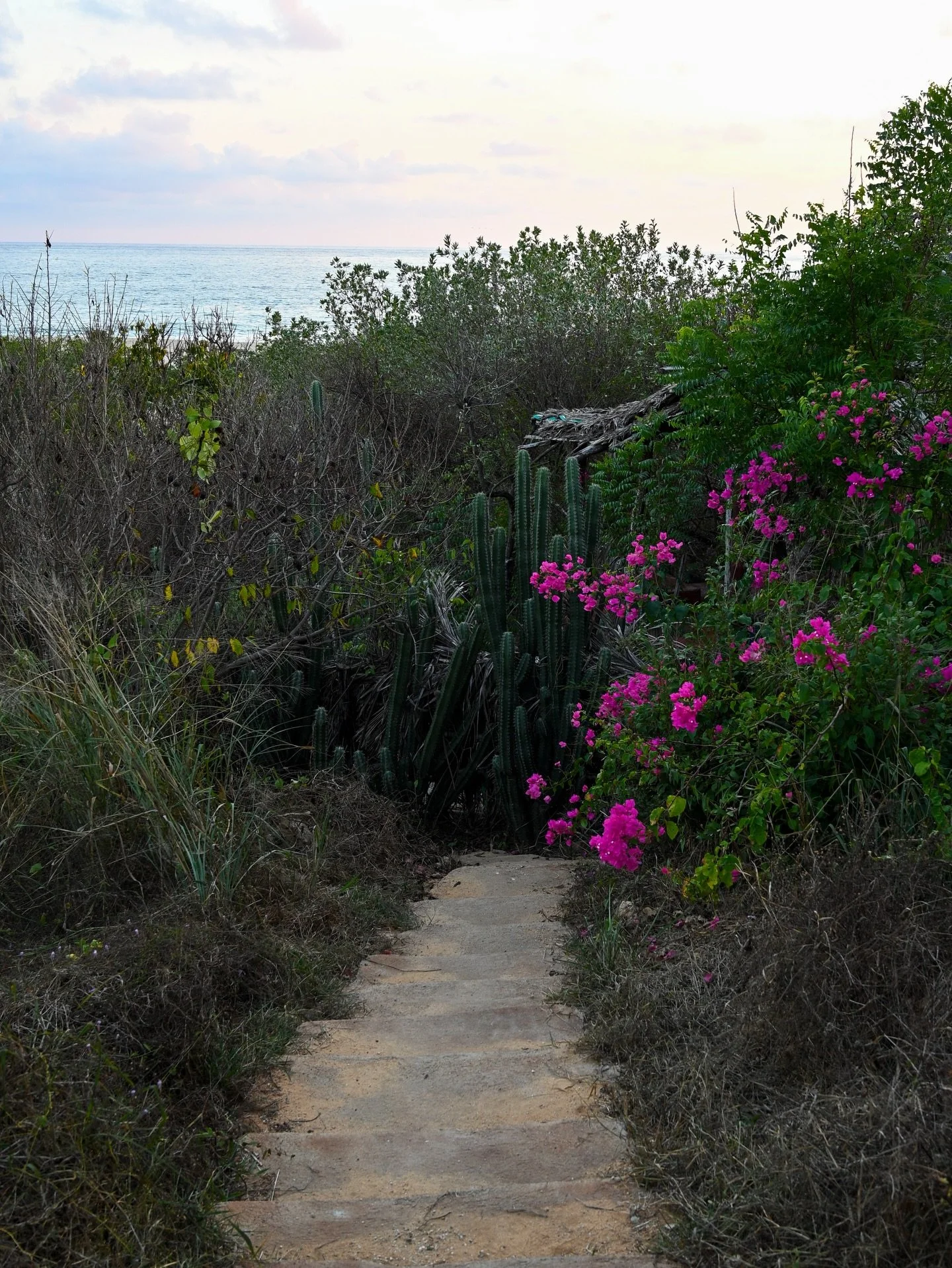 happy spring! wishing you more balance and lightness in this season. curious to learn more about spring and ayurveda? join our spring cleanse starting 4/11, or deepen your reset with an in-person pachakarma experience.

it&rsquo;s an honor to share m