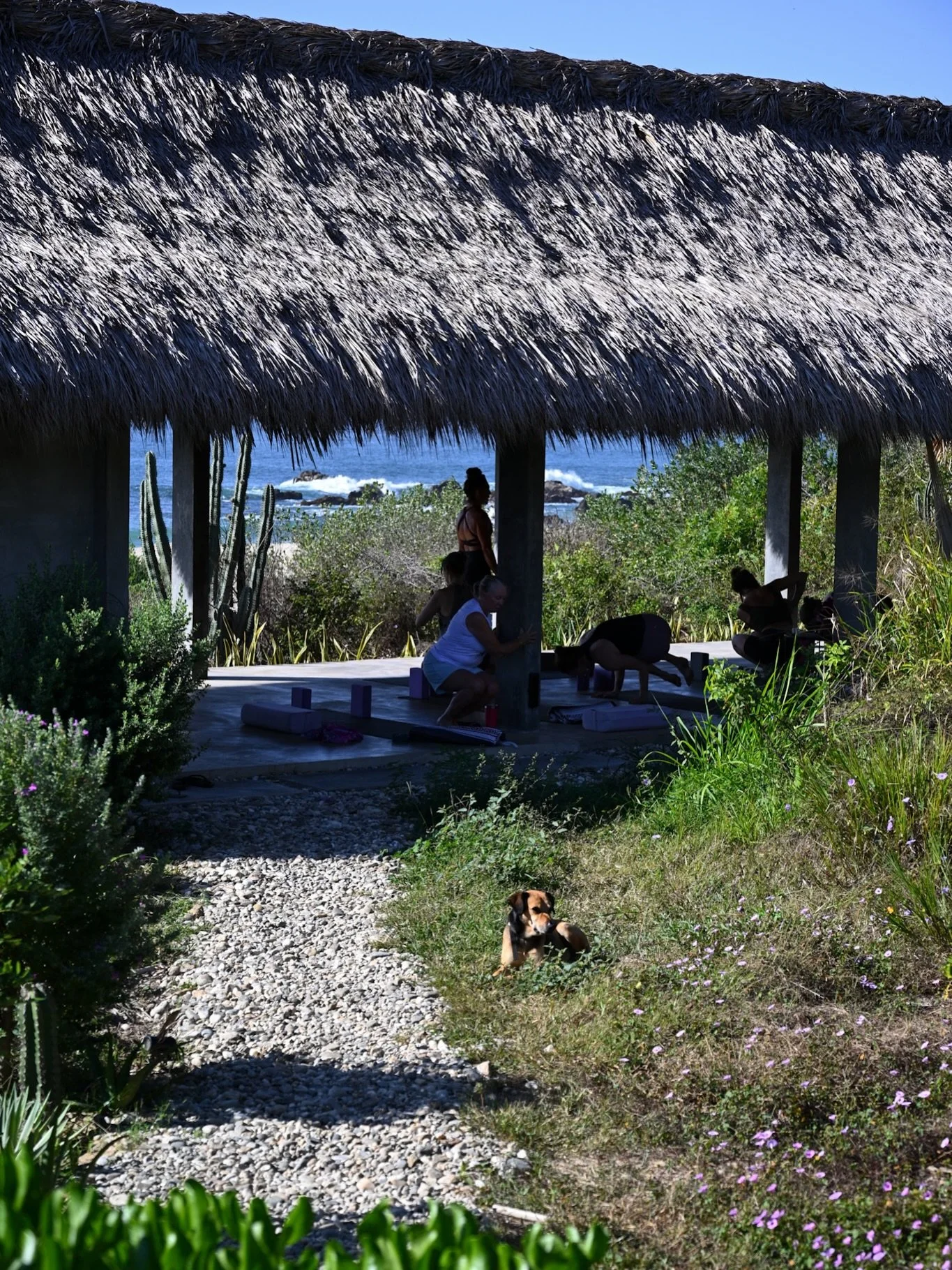 Recent musings at santuario shala 🤍

#mexico #puertoescondido #retreat #airbnb