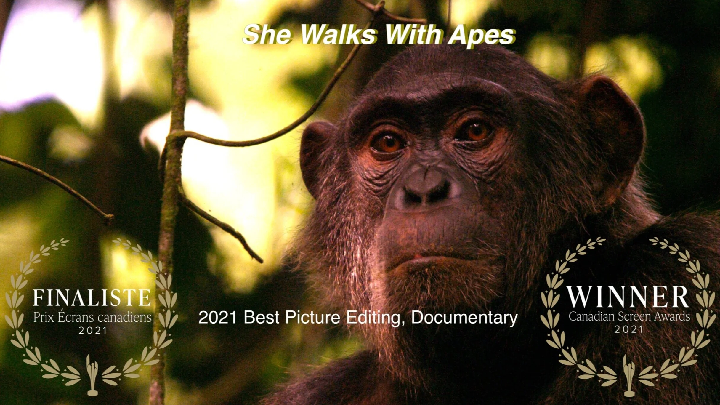 shewalkswithapes_CSAWinner2021.png