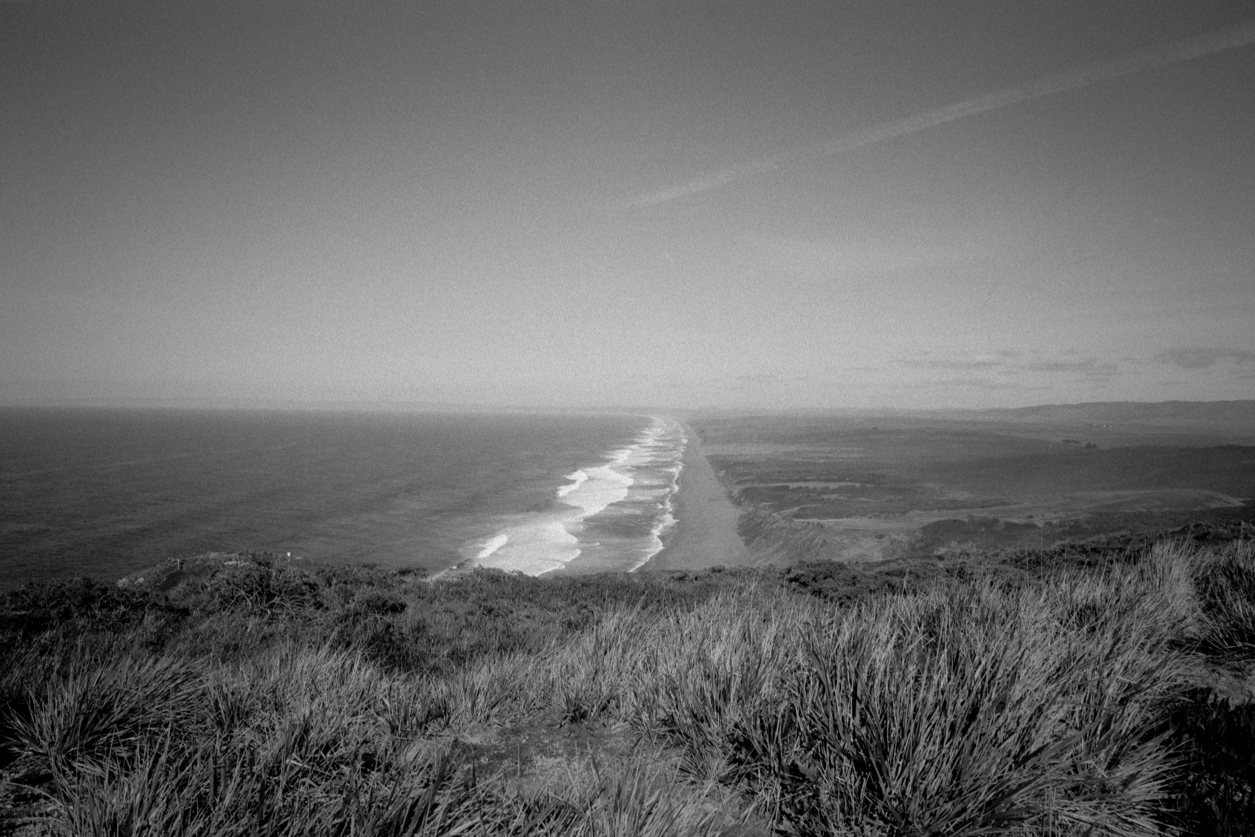 PtReyes_Kentmere200_roll3-251.jpg