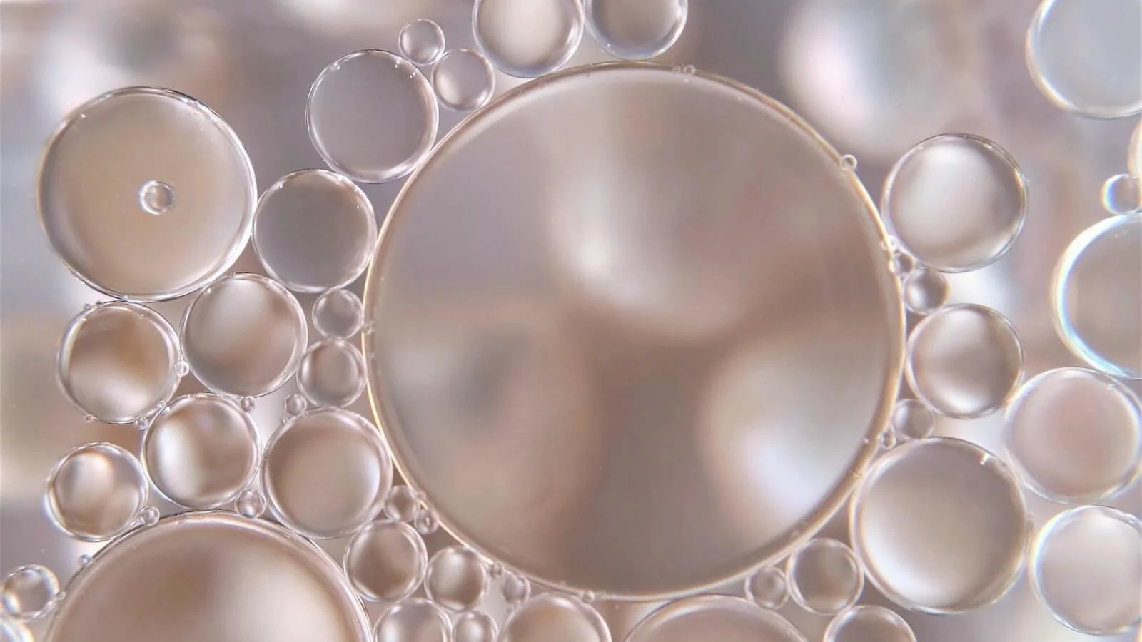 How to Keep Your Lips Hydrated This Fall Liip