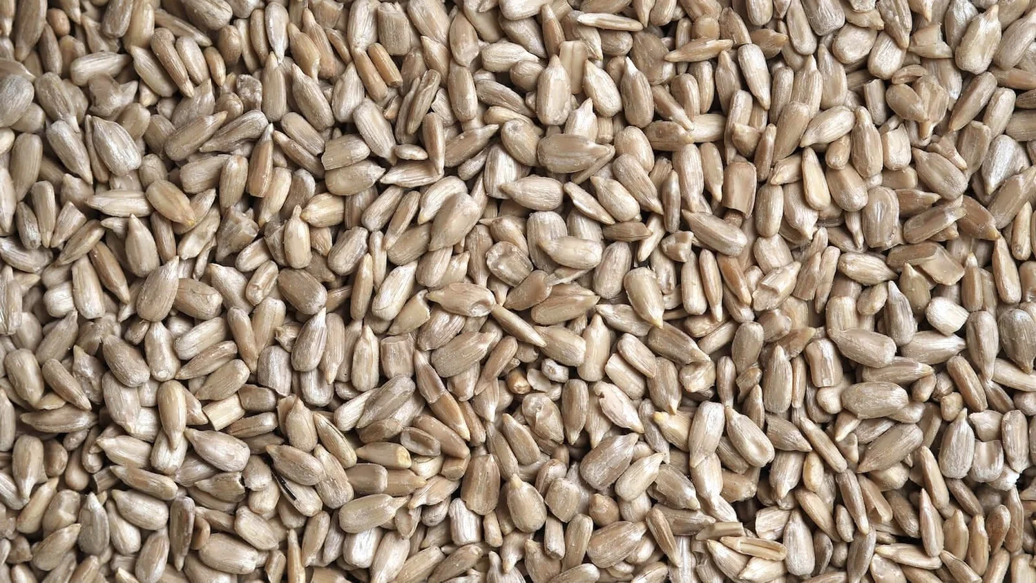 Sunflower Oil Benefits For Your Lips Liip