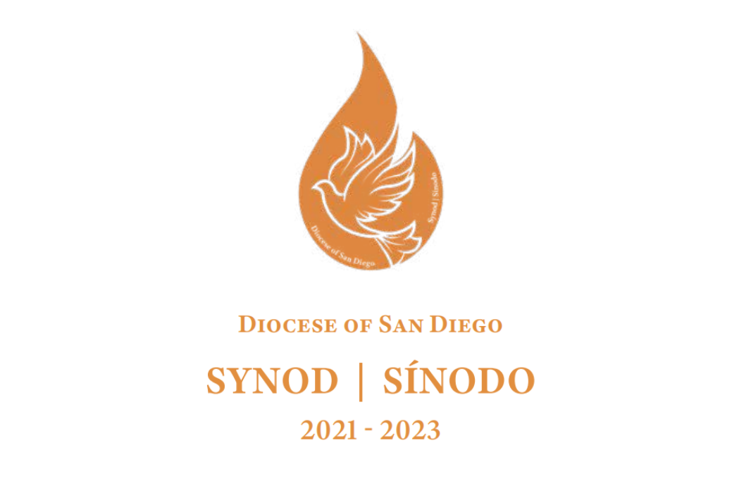 Synod on Synodality: Call to Action Members Speak — Call To Action