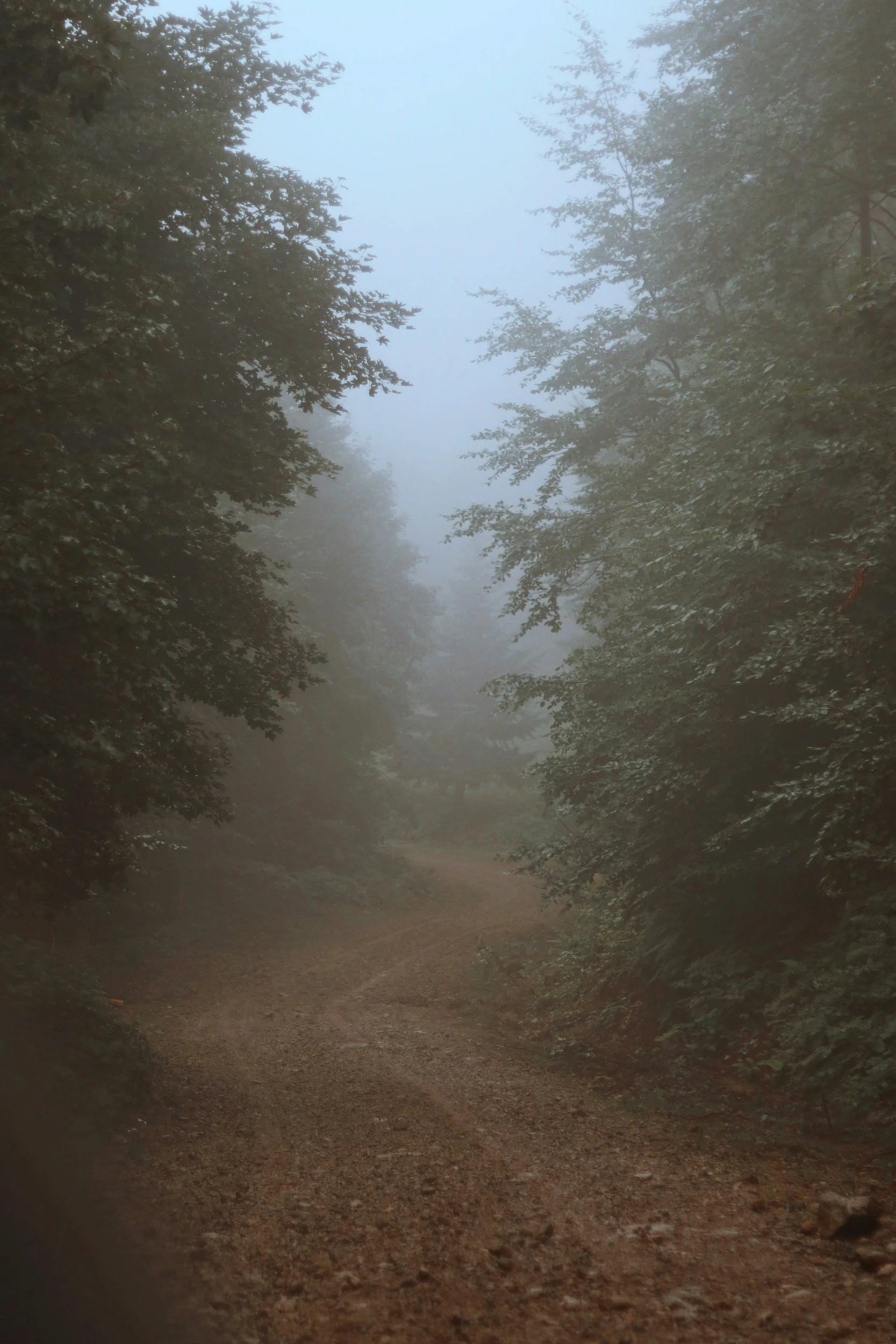 What's Getting in the Way of Your Grief