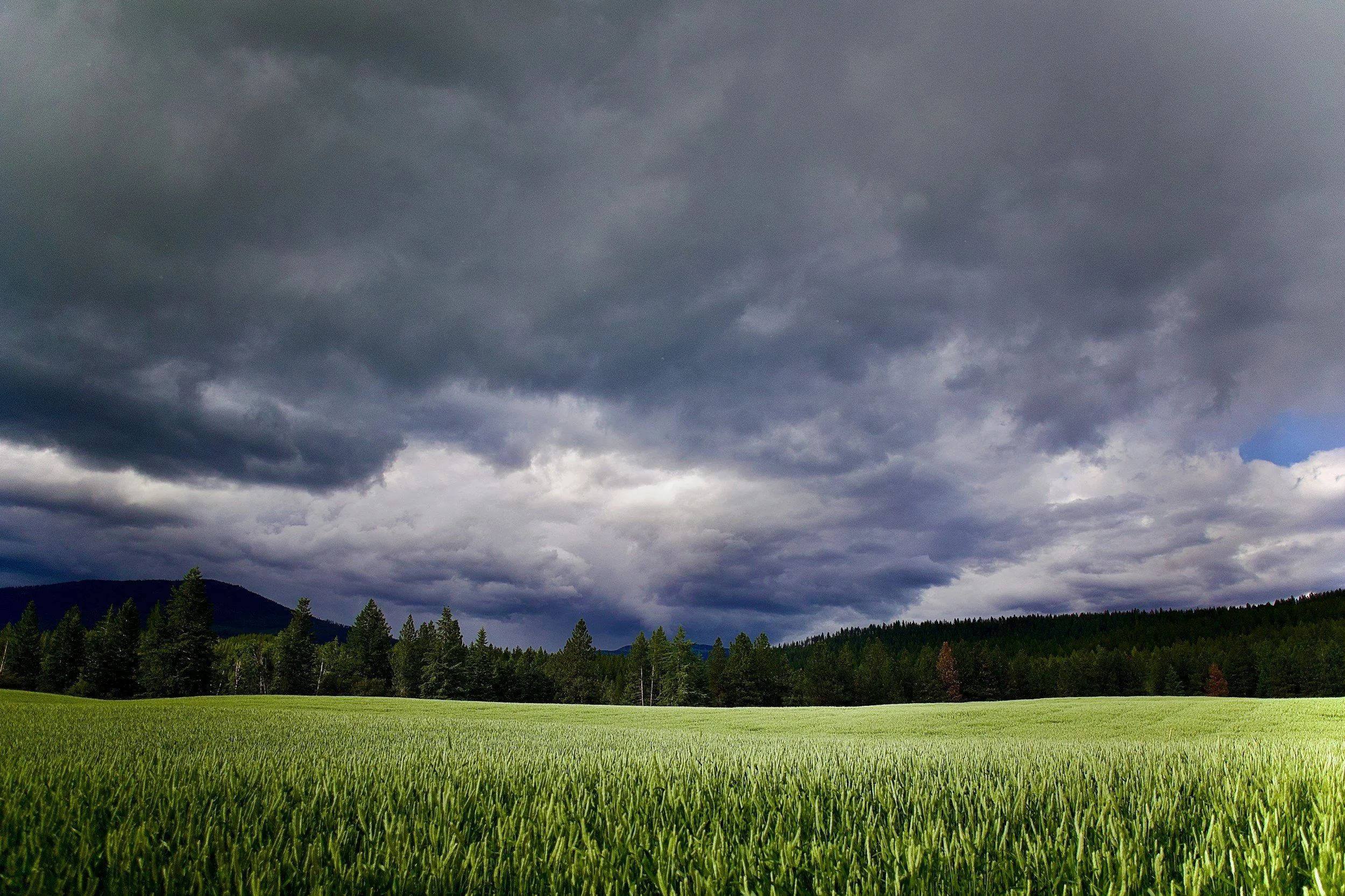 More Than Grief — Why Pregnancy and Infant Loss Can Be Traumatizing