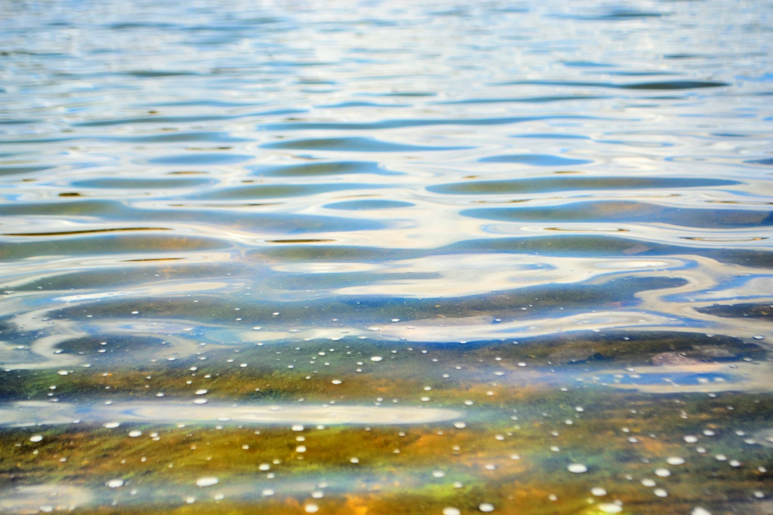 What Somatic Work Actually Is — And Why the Body Holds the Key