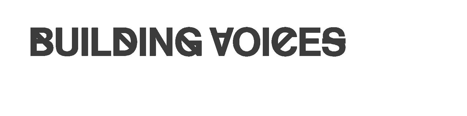 bv logo grey.png
