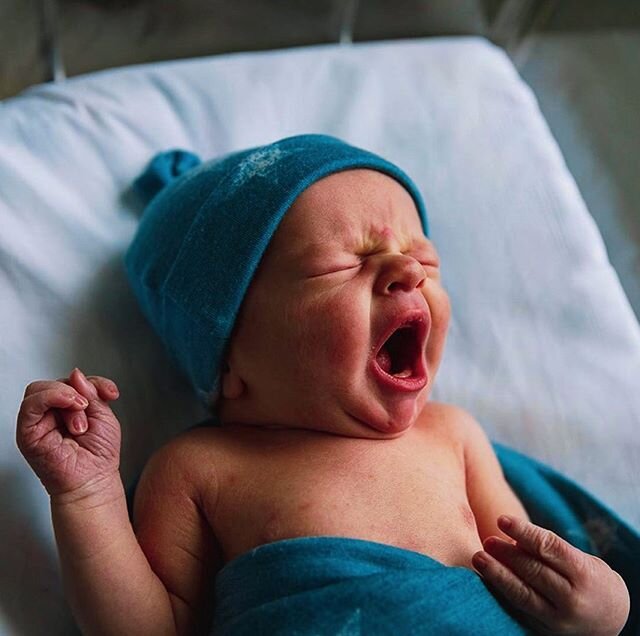 What.A.Week. Anyone else exhausted? TGIF! 🙌🏼🥱⁣💙
⁣
⁣
⁣
⁣
⁣
⁣
⁣
⁣
⁣
📸: @katierainphoto⁣
⁣
⁣
⁣
⁣
⁣
⁣
⁣
⁣
⁣
⁣
#darlingsandloveliesbaby⁣
#luxbabyplanner⁣
#katierainphotography⁣
#newbornphotography⁣
#sfphotographer⁣
#bayareaphotographer⁣
#newbornphoto