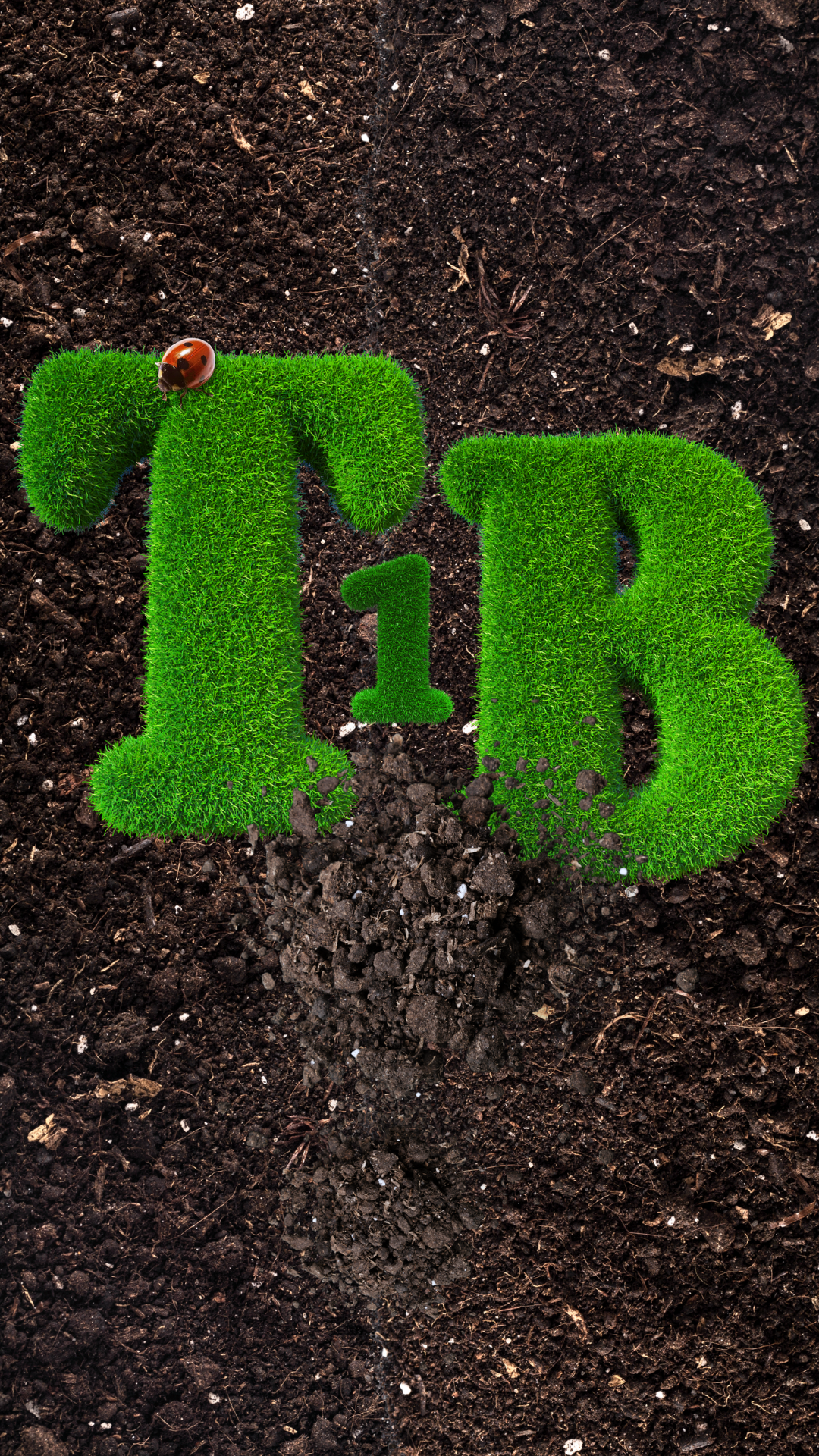 T1b….png