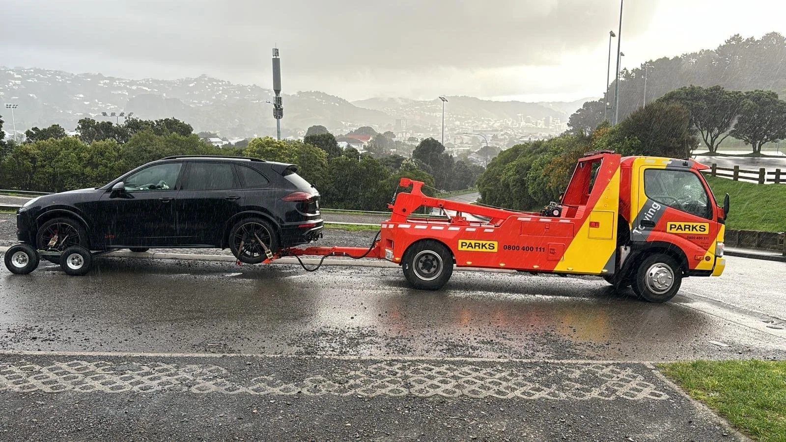 Wellington cradle 1.JPG