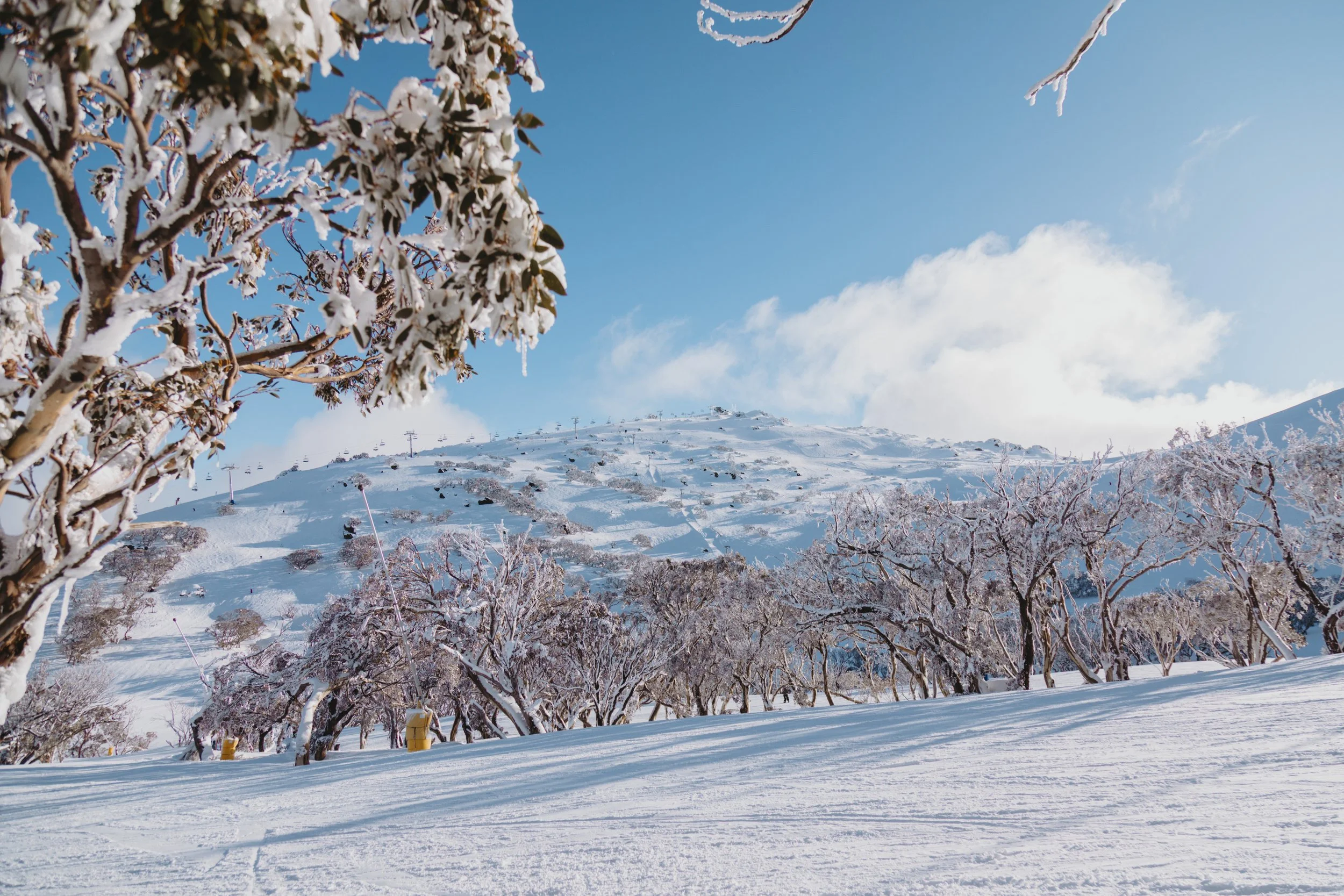 Perisher 2025-31.jpg