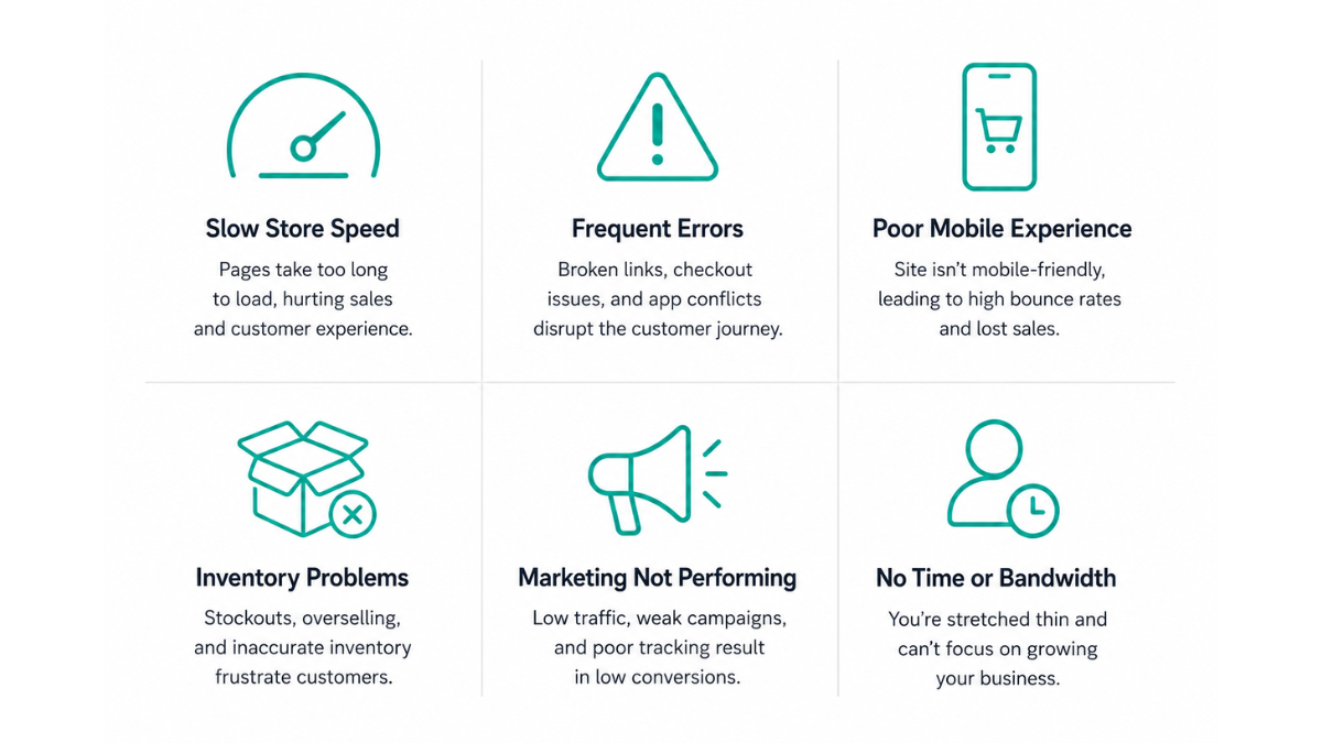 what does professional shopify management include