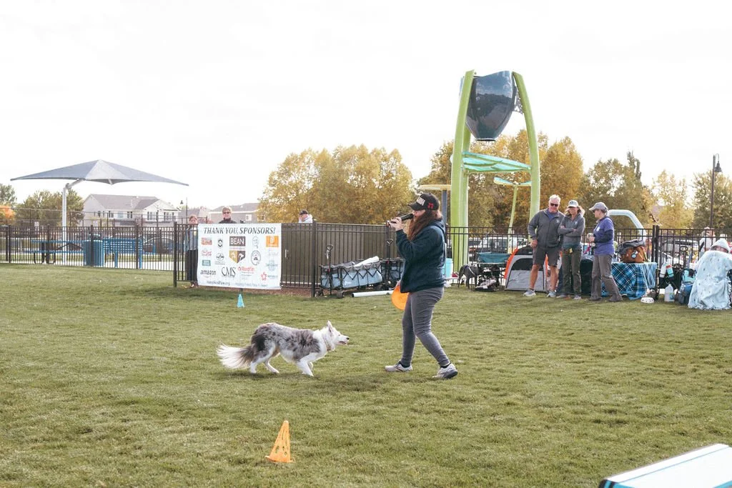 handandpawpetfair2025(108of150).jpg