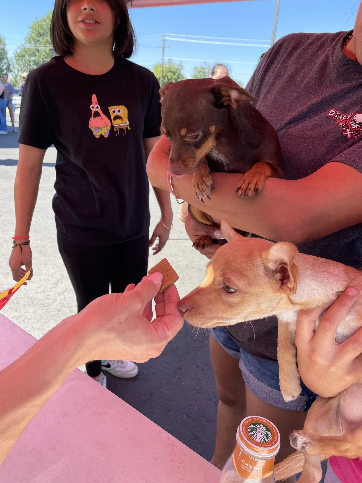 Pet Food Pantry, sponsored by Hand And Paw. Free Pet Food and Pet Supplies for People In Need. Want to help support us? You can drop off donations at this event! 