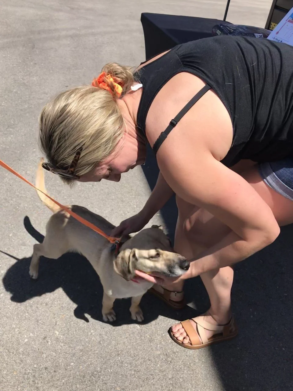 Pet Food Pantry, sponsored by Hand And Paw. Free Pet Food and Pet Supplies for People In Need. Want to help support us? You can drop off donations at this event! 