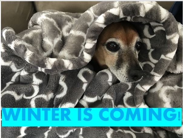 Pet Food Pantry, sponsored by Hand And Paw. Free Pet Food and Pet Supplies for People In Need. Want to help support us? You can drop off donations at this event! 