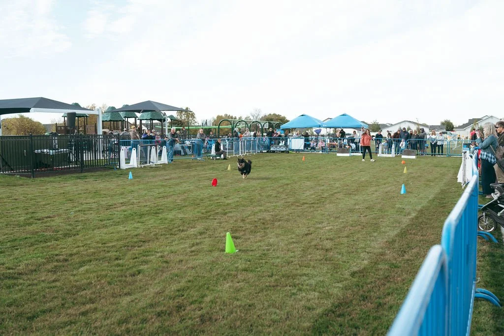 happetfair2026(59of161).jpg