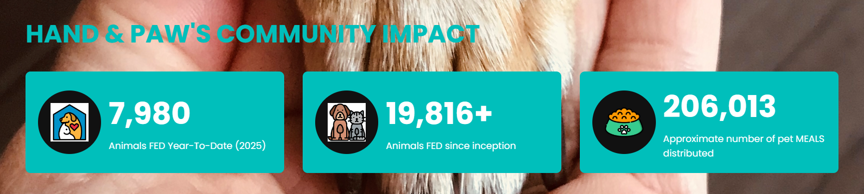 2025 Final ELF IMage.png