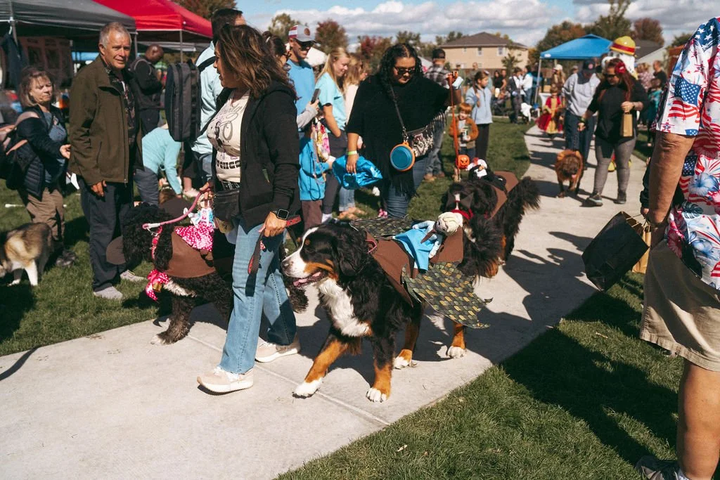 handandpawpetfair2025(124of150).jpg